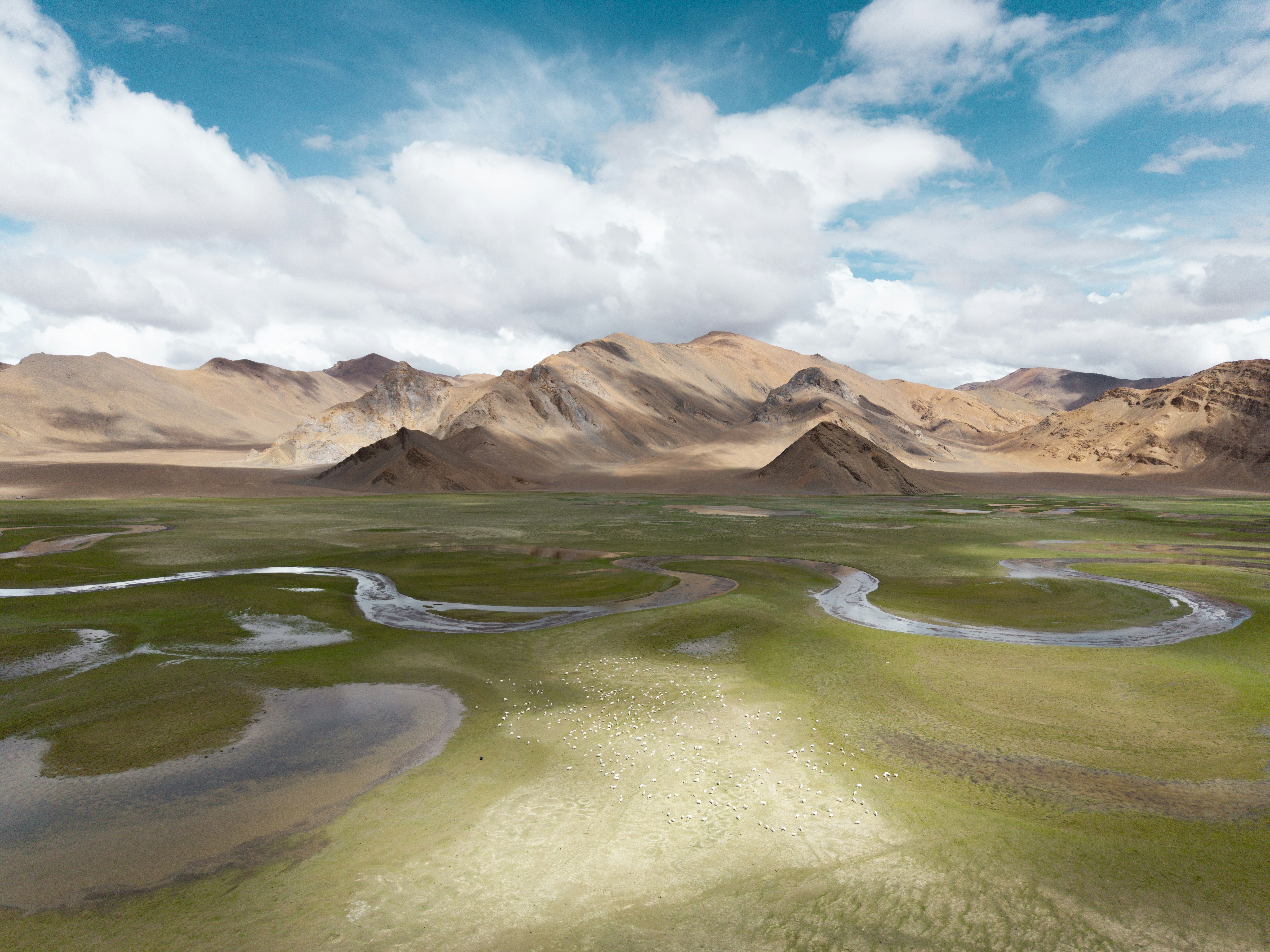 Photo by nikol_royce