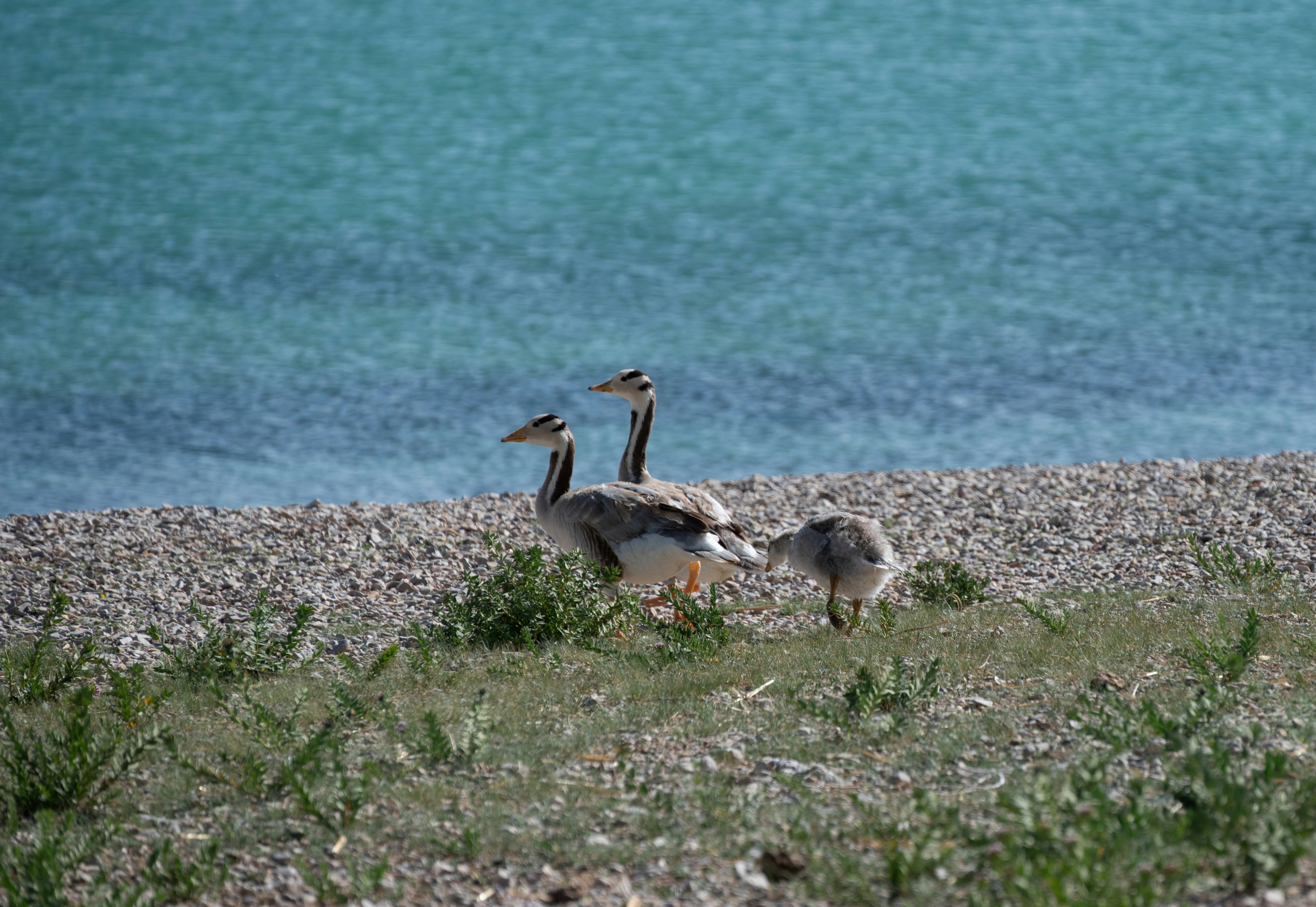 Photo by nikol_royce