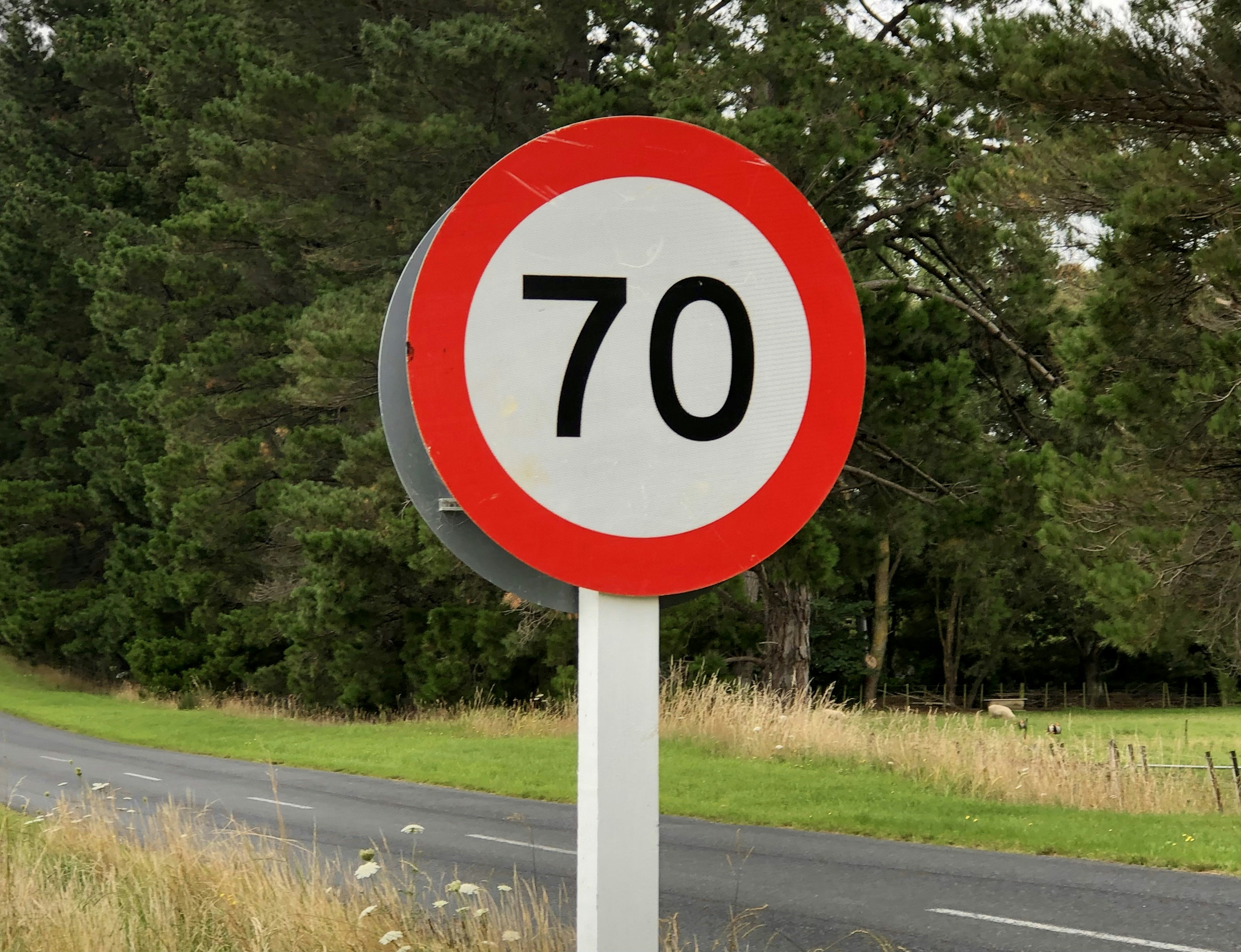 5 garanties indispensables de l'assurance auto