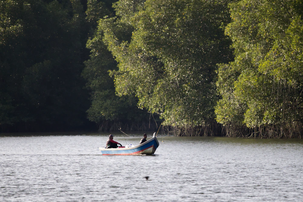Estuary trips