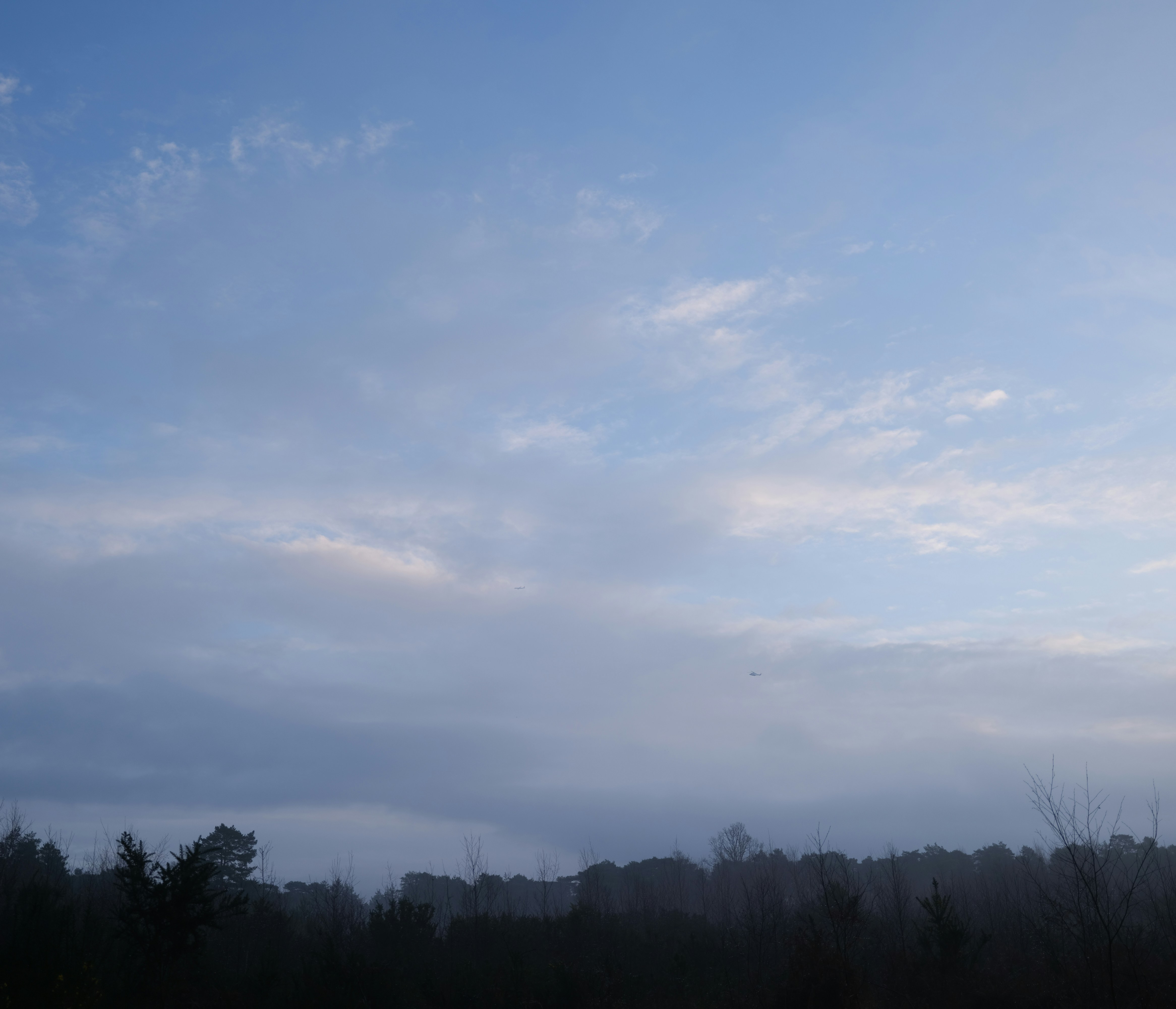 Photo by tanyabarrow