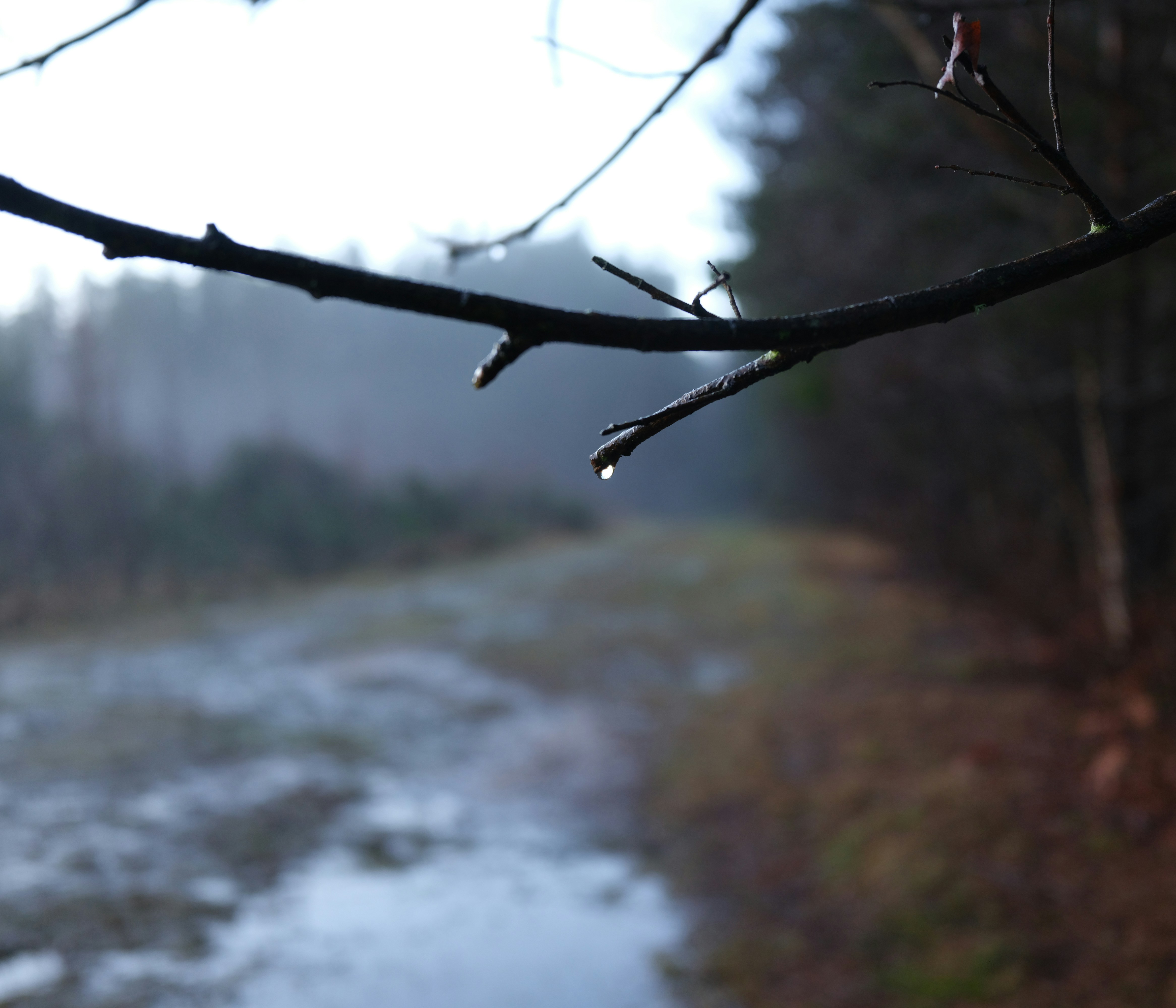 Photo by tanyabarrow