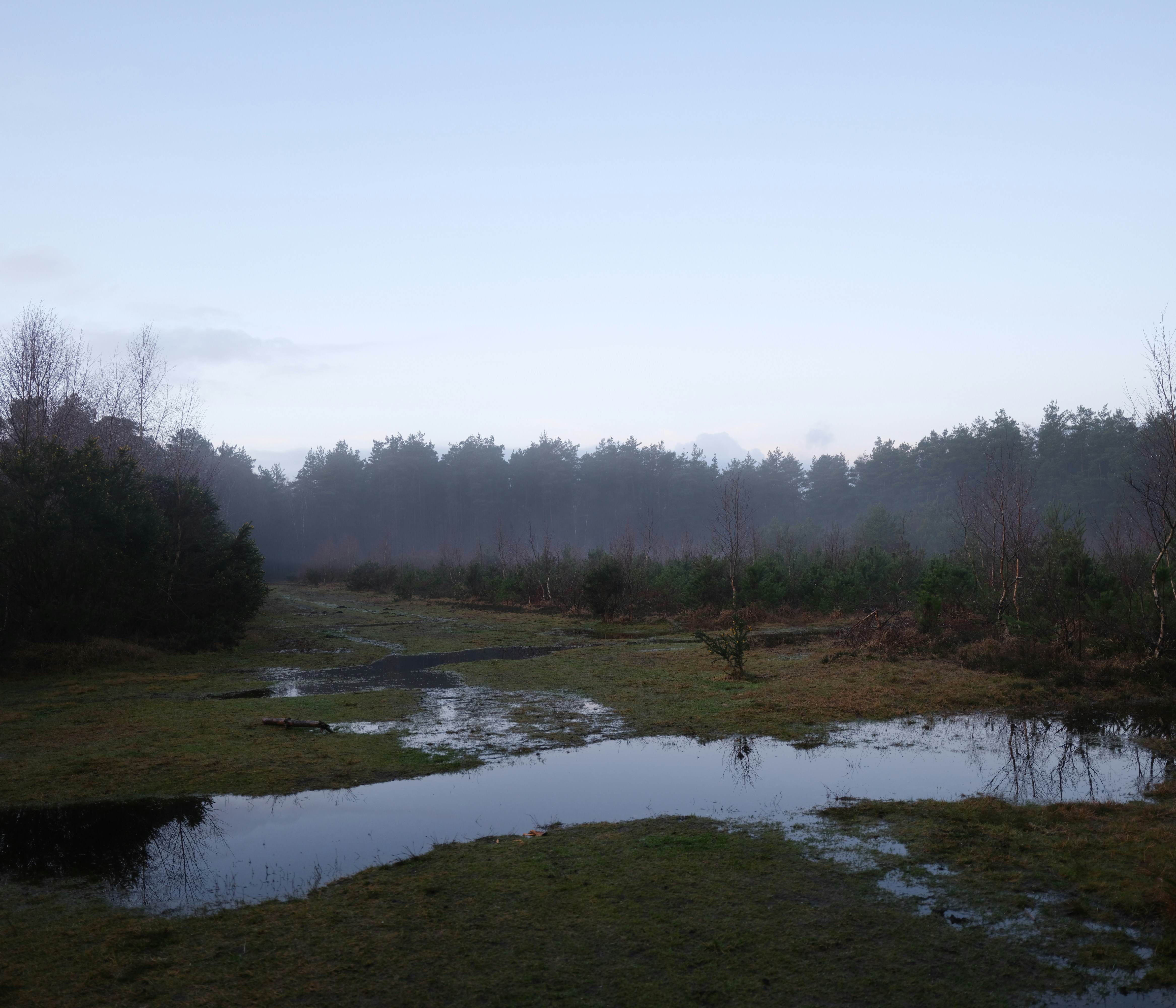 Photo by tanyabarrow