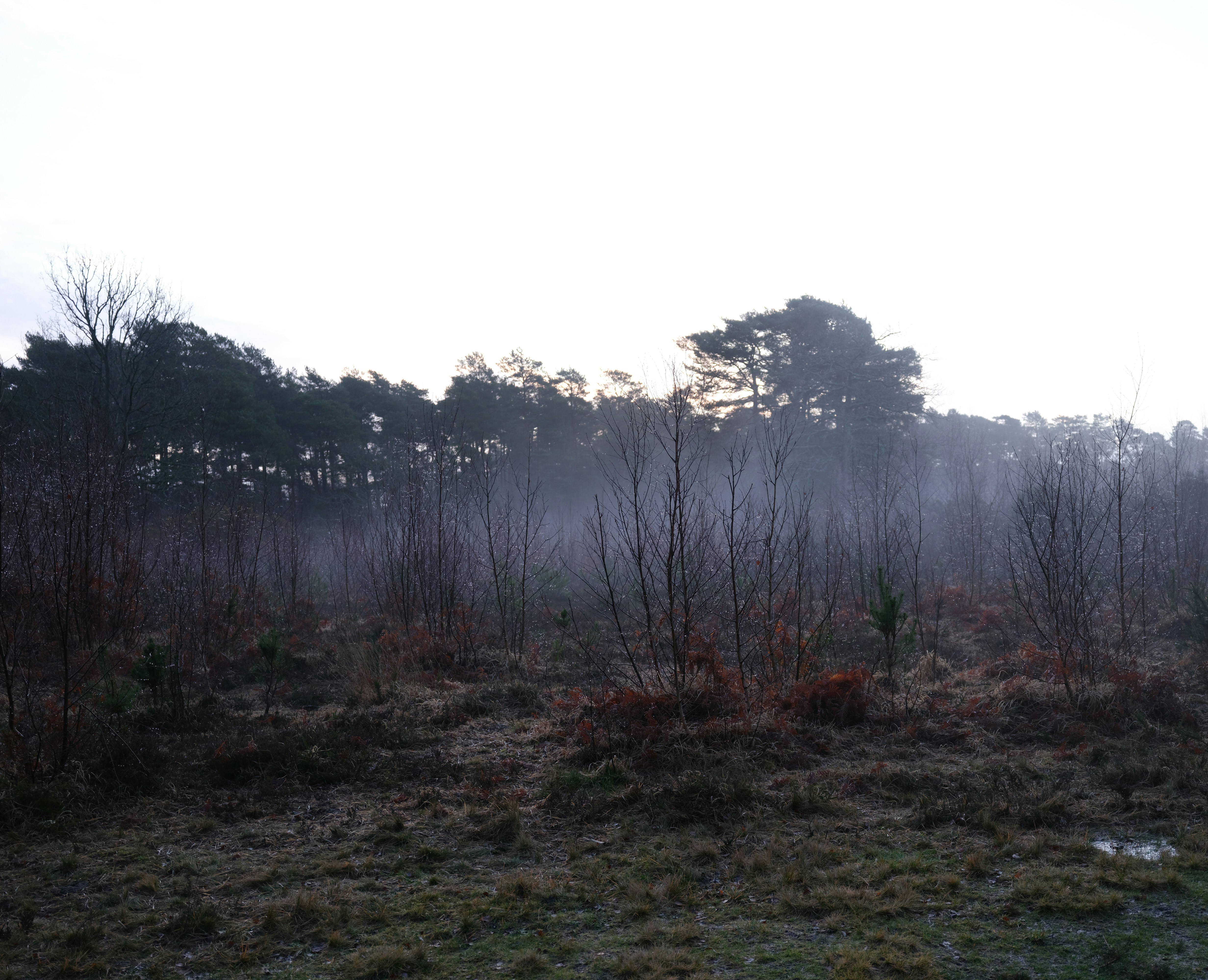 Photo by tanyabarrow