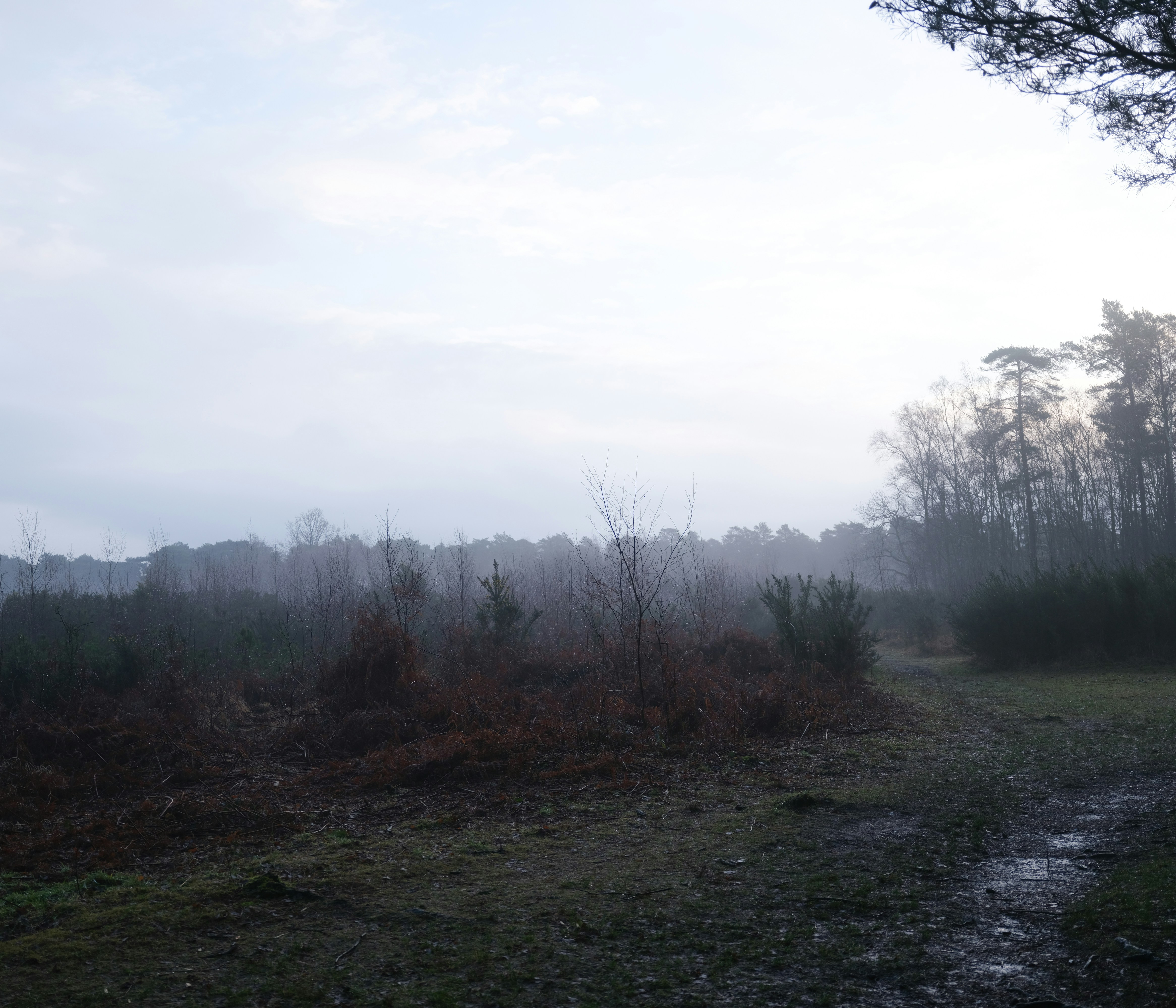 Photo by tanyabarrow