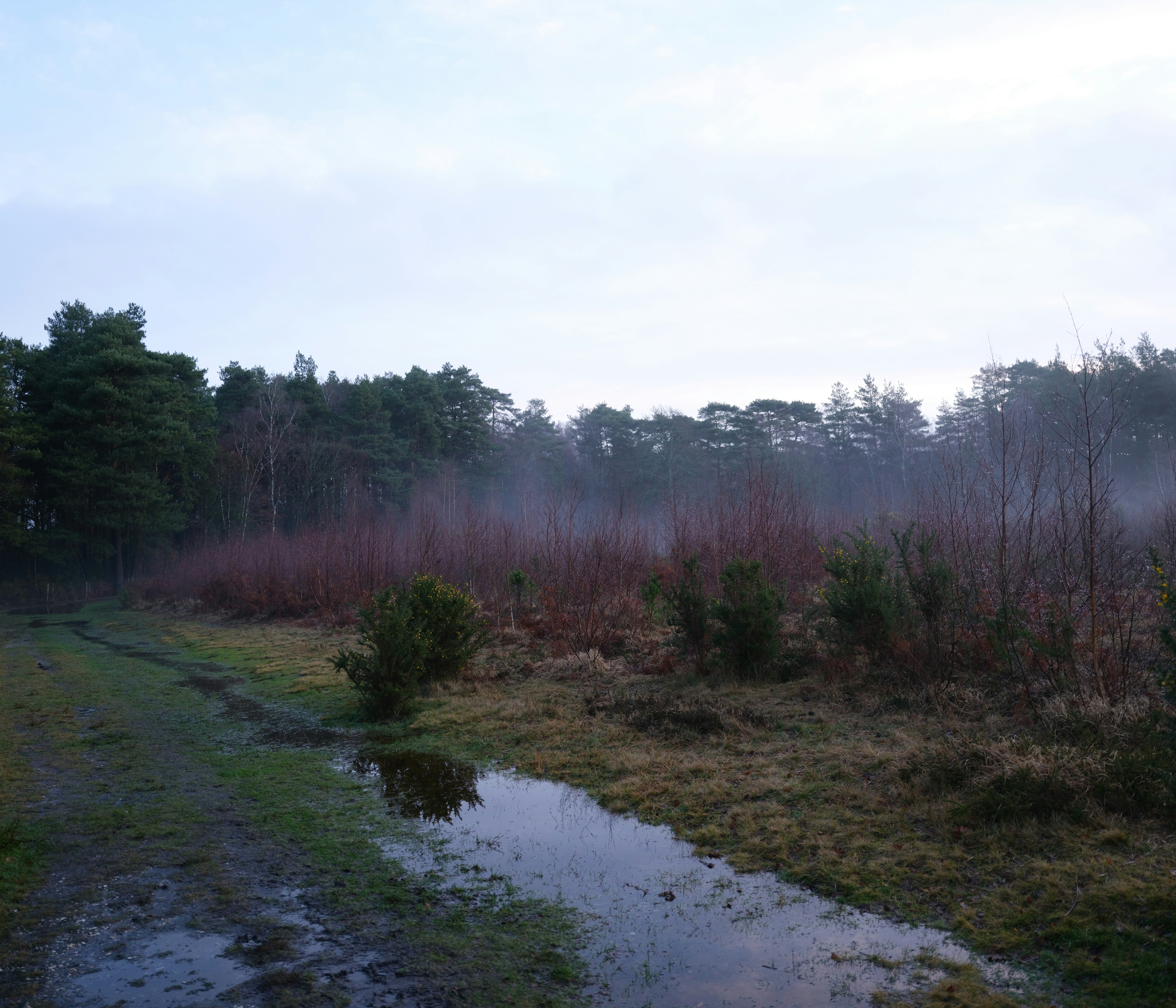 Photo by tanyabarrow