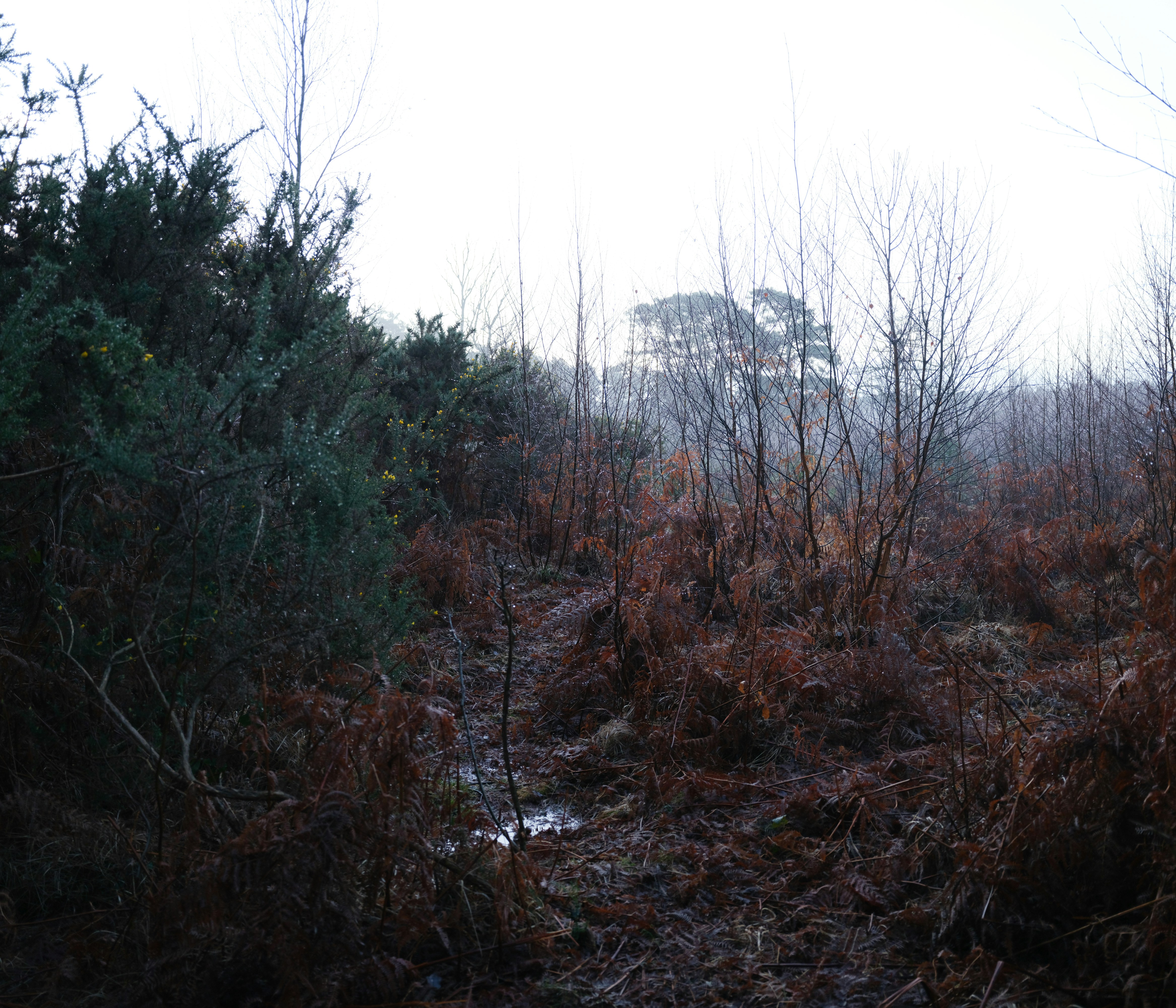 Photo by tanyabarrow