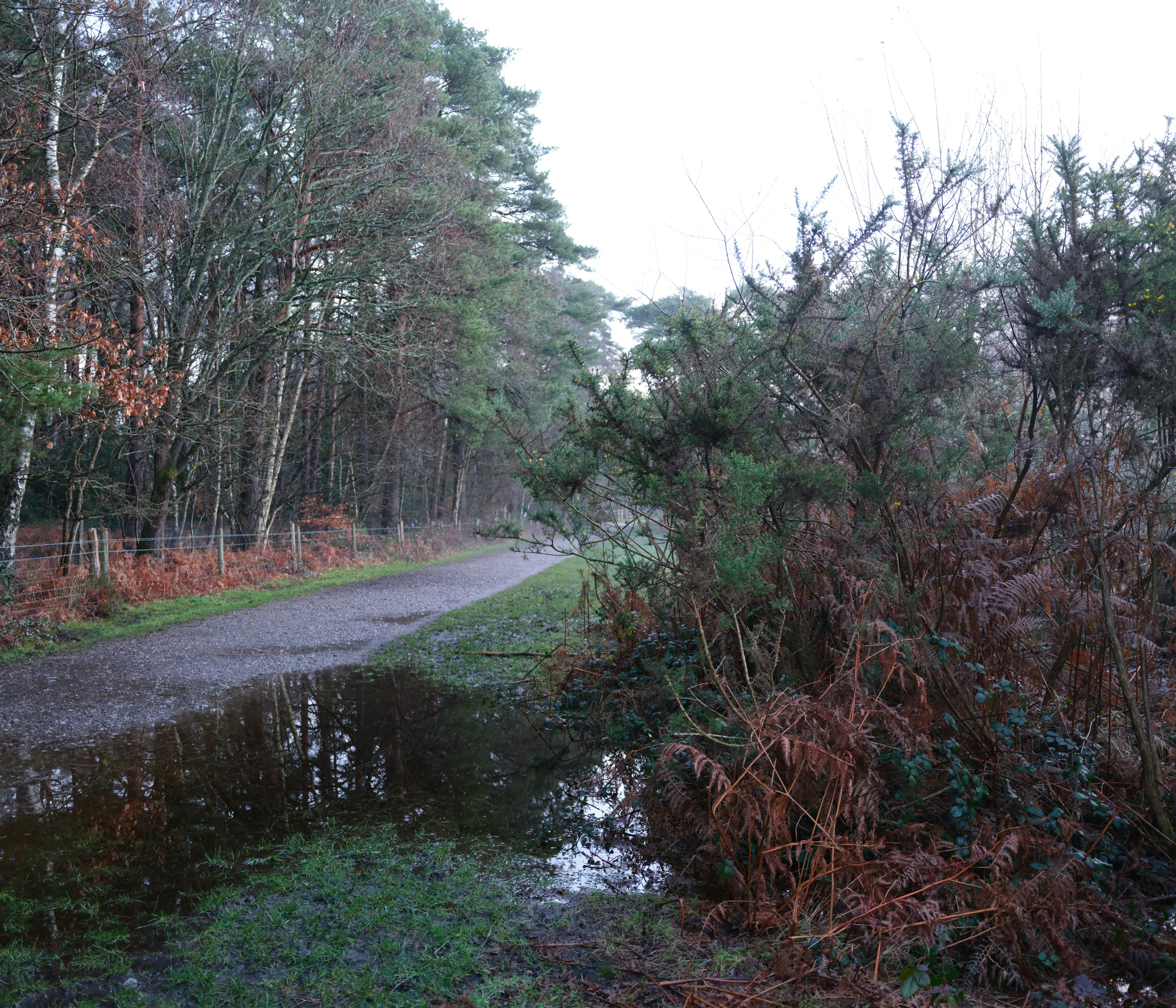 Photo by tanyabarrow