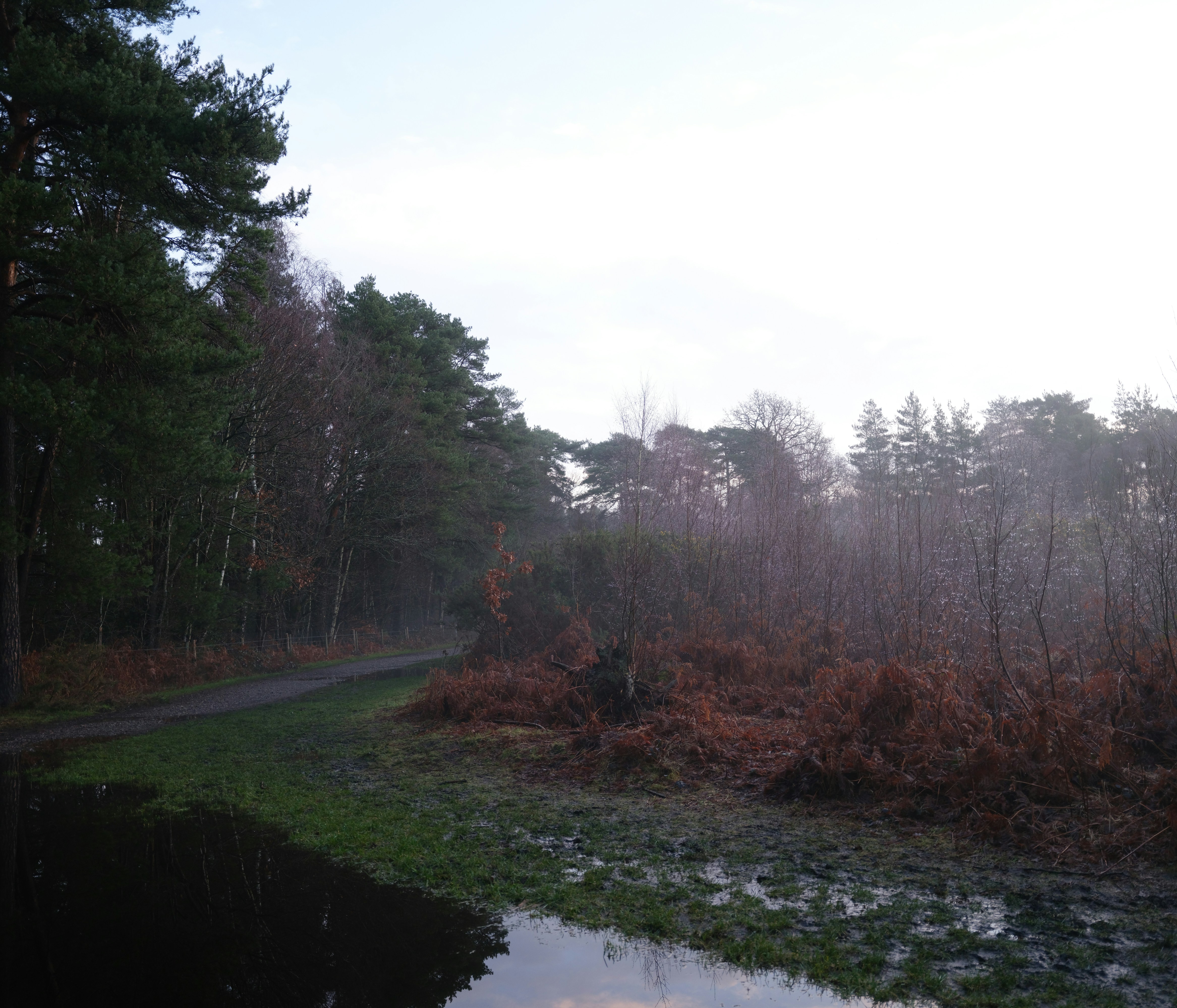 Photo by tanyabarrow