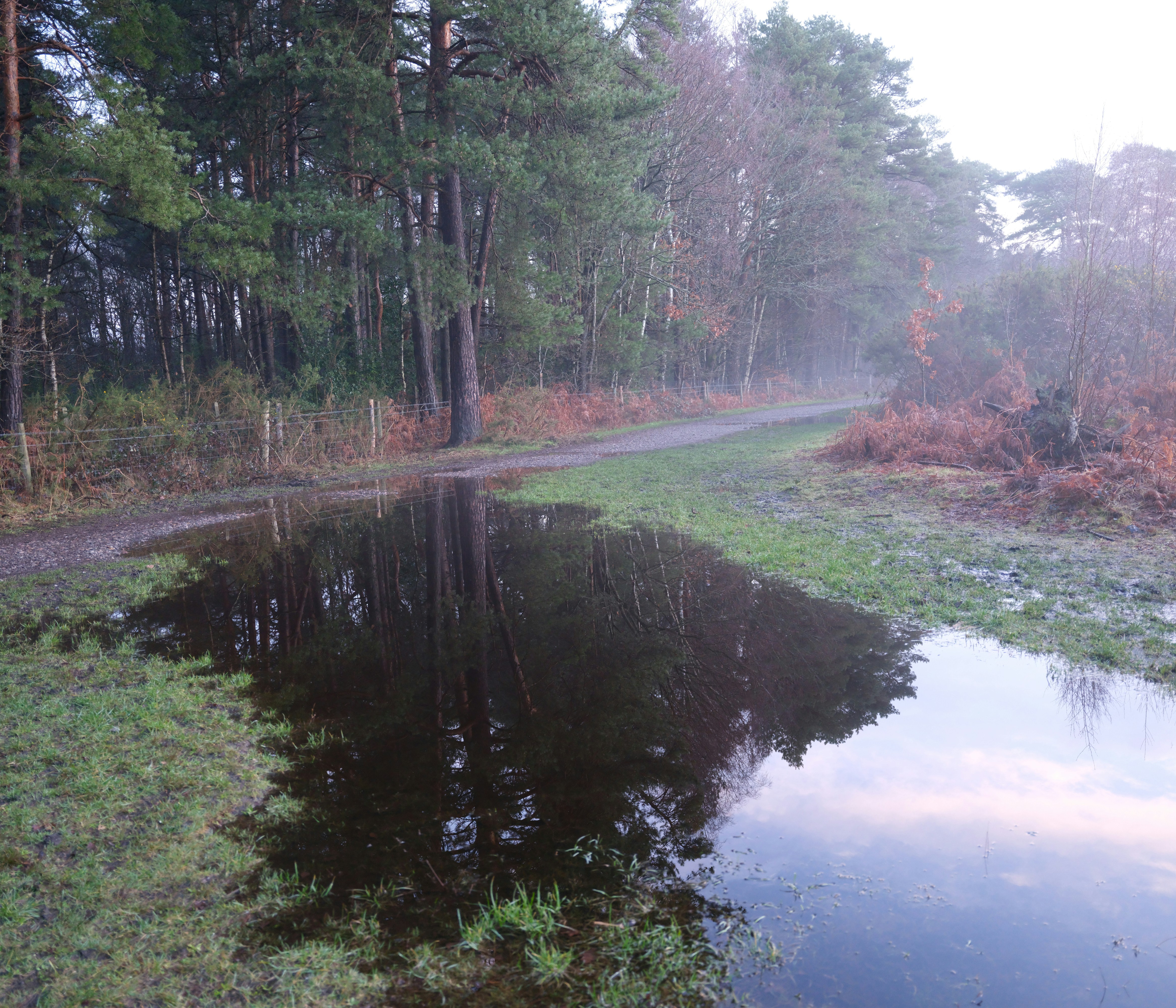 Photo by tanyabarrow