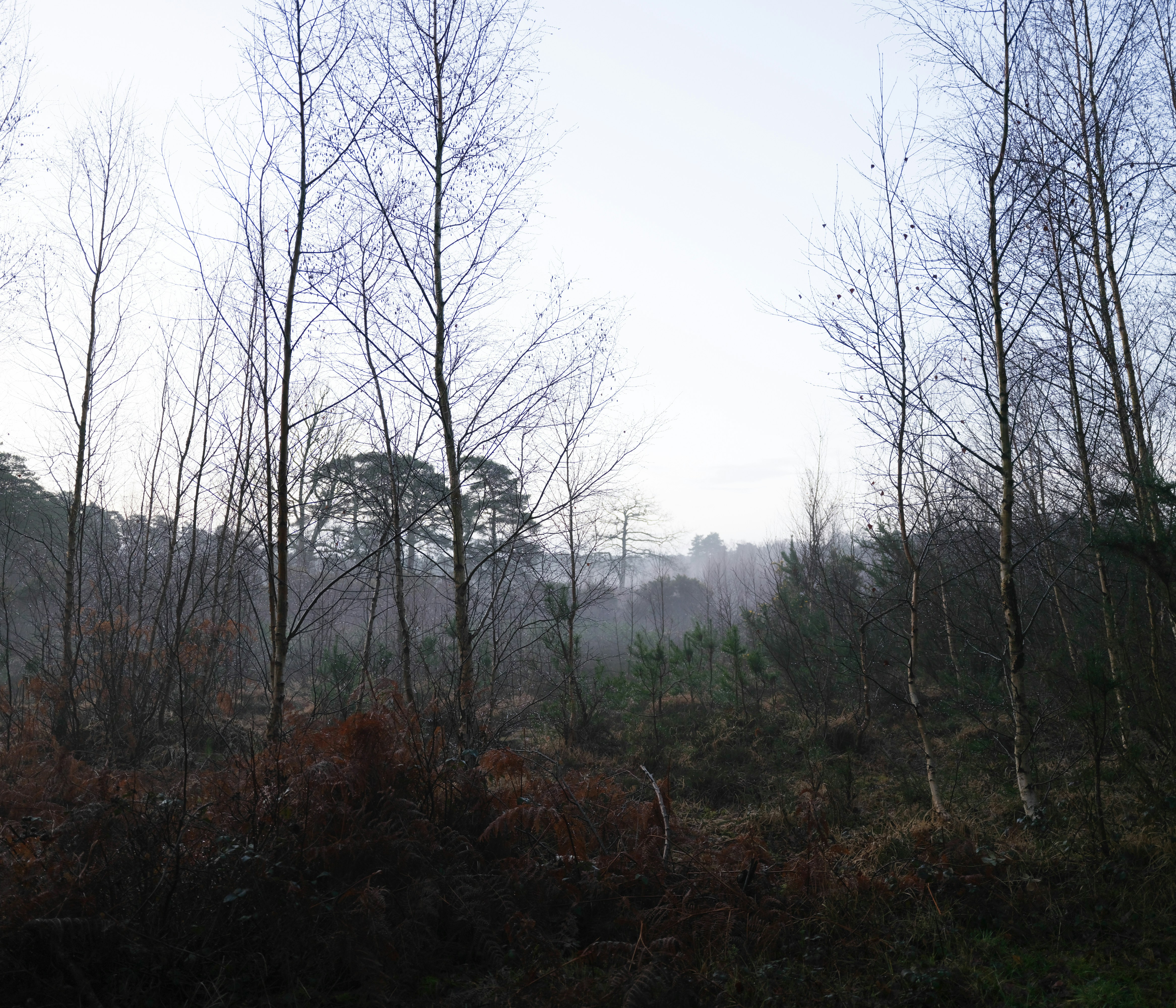 Photo by tanyabarrow