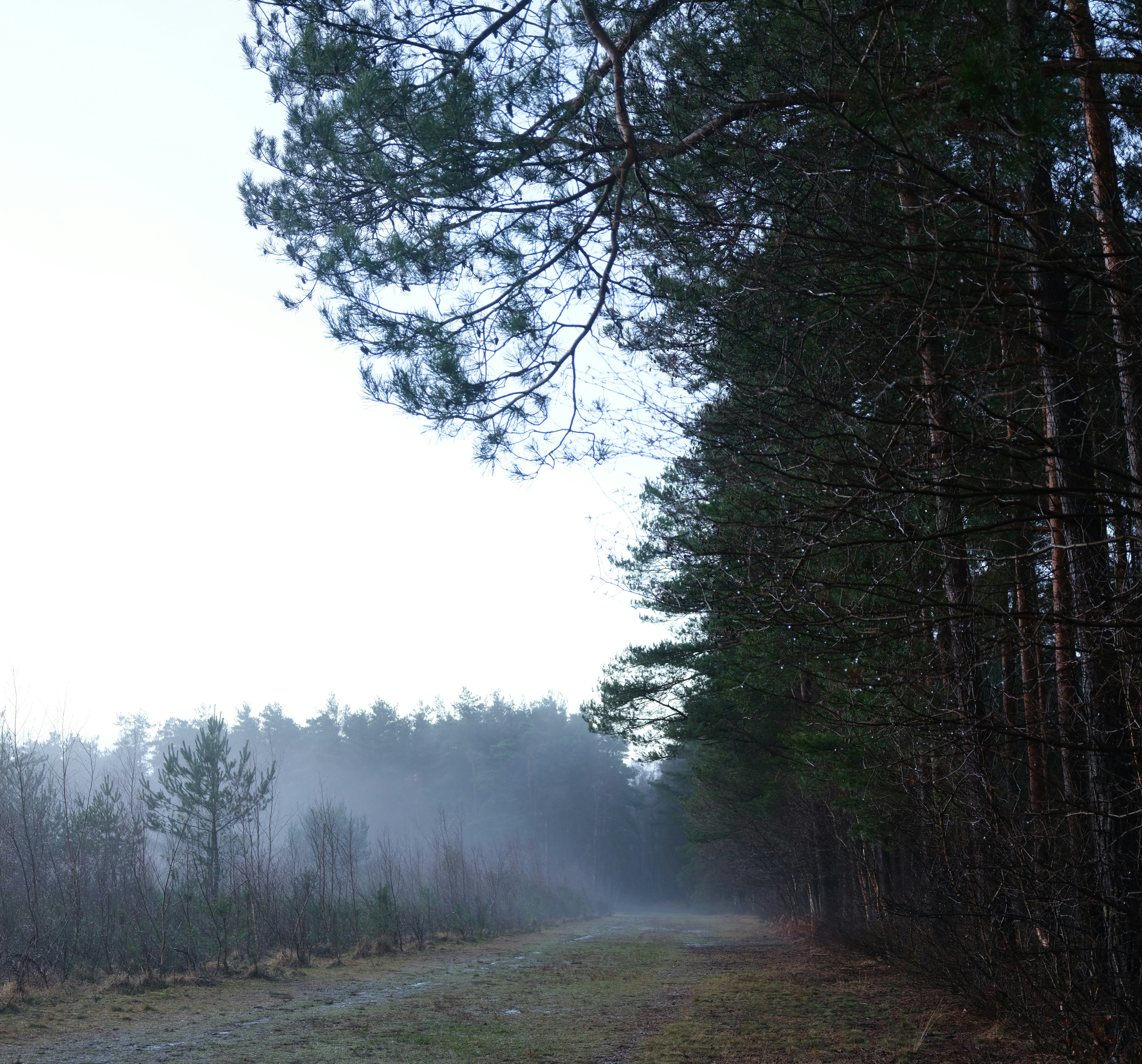 Photo by tanyabarrow