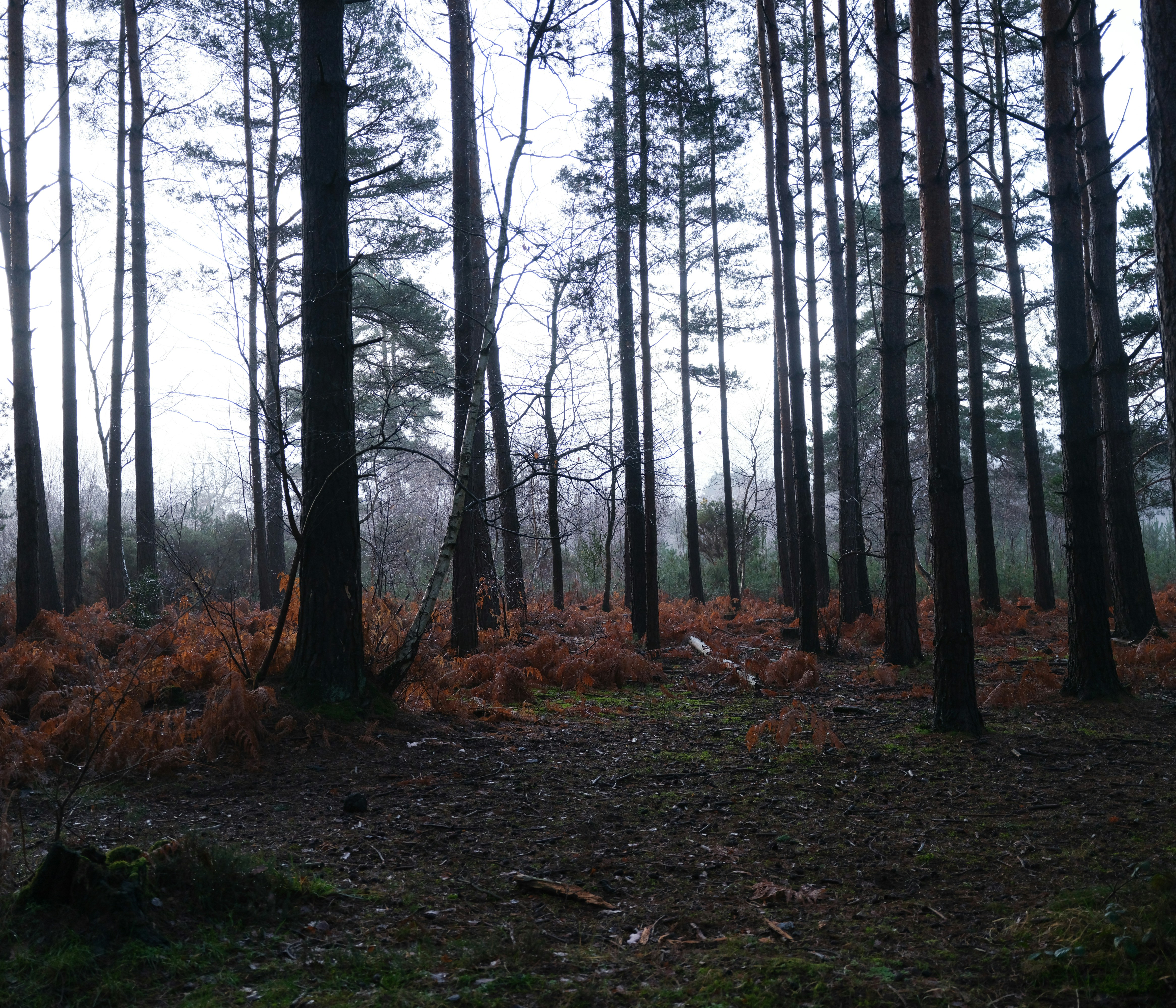 Photo by tanyabarrow