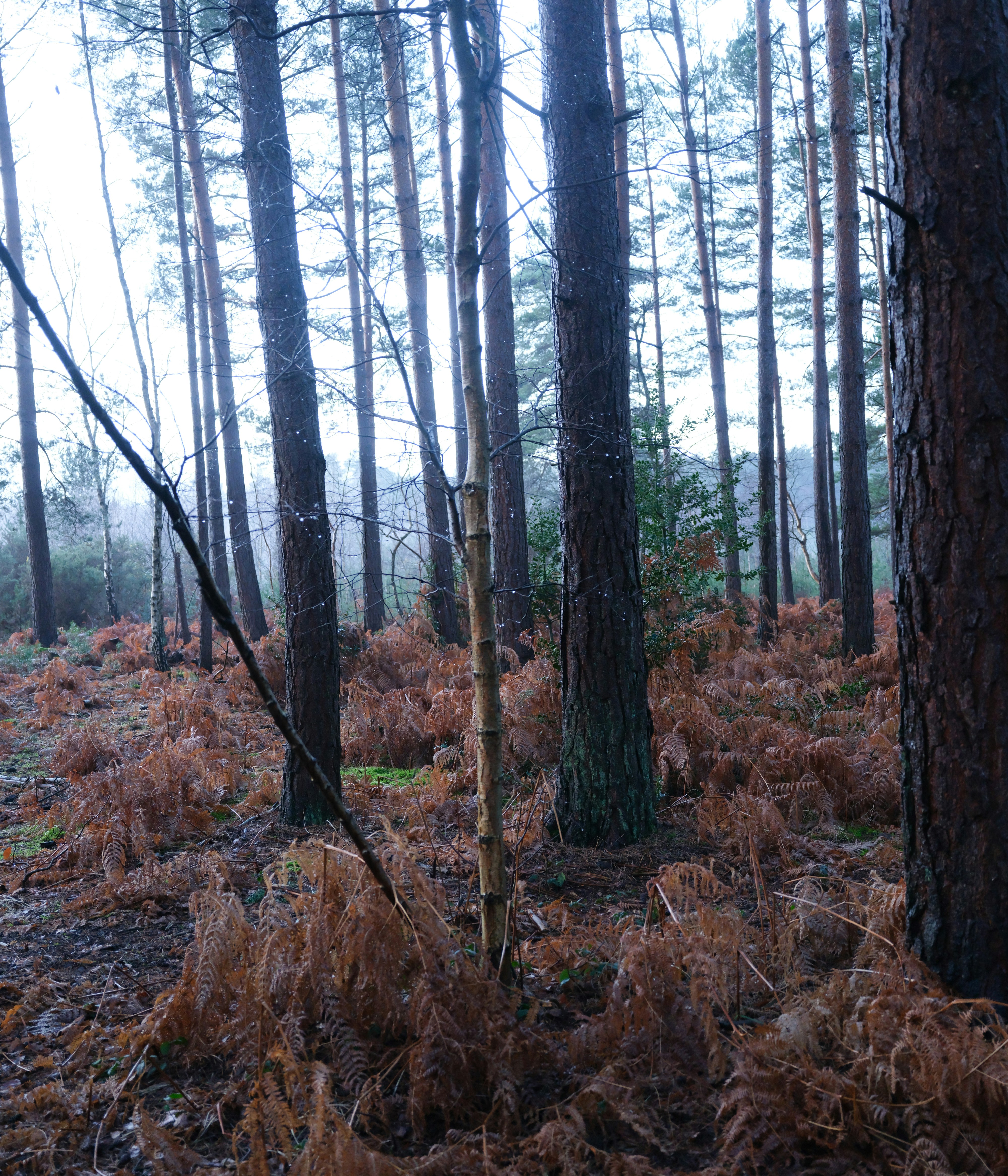 Photo by tanyabarrow