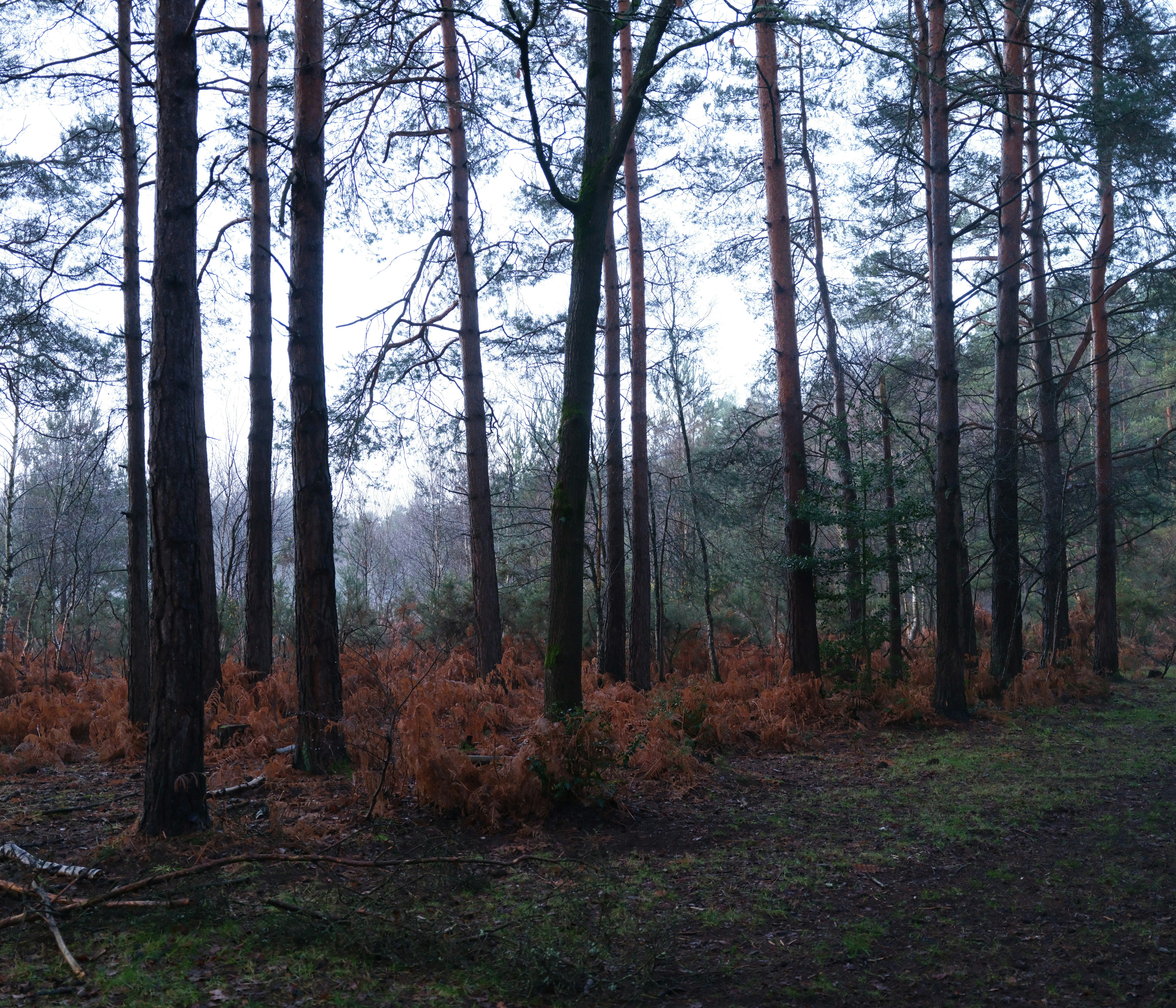 Photo by tanyabarrow