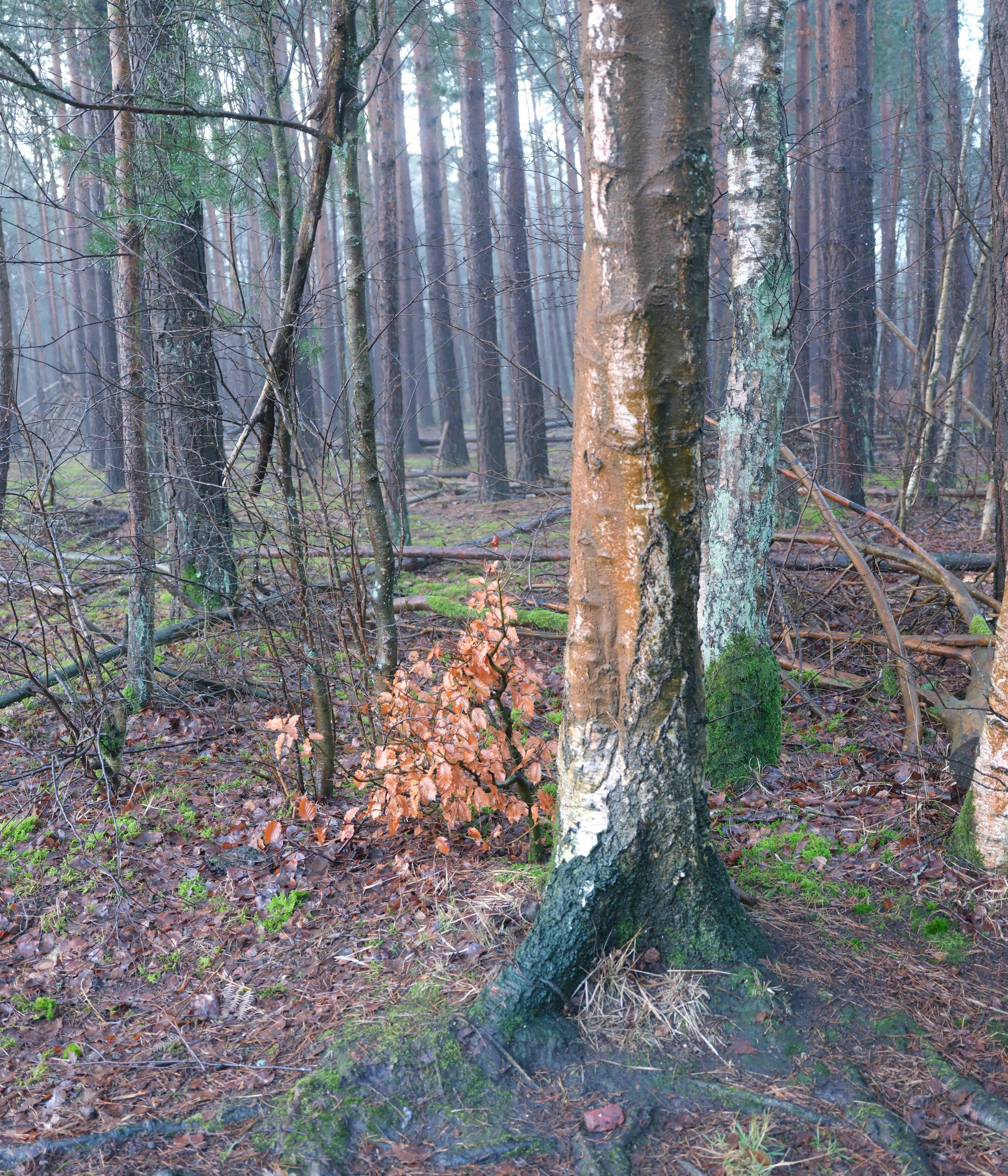 Photo by tanyabarrow