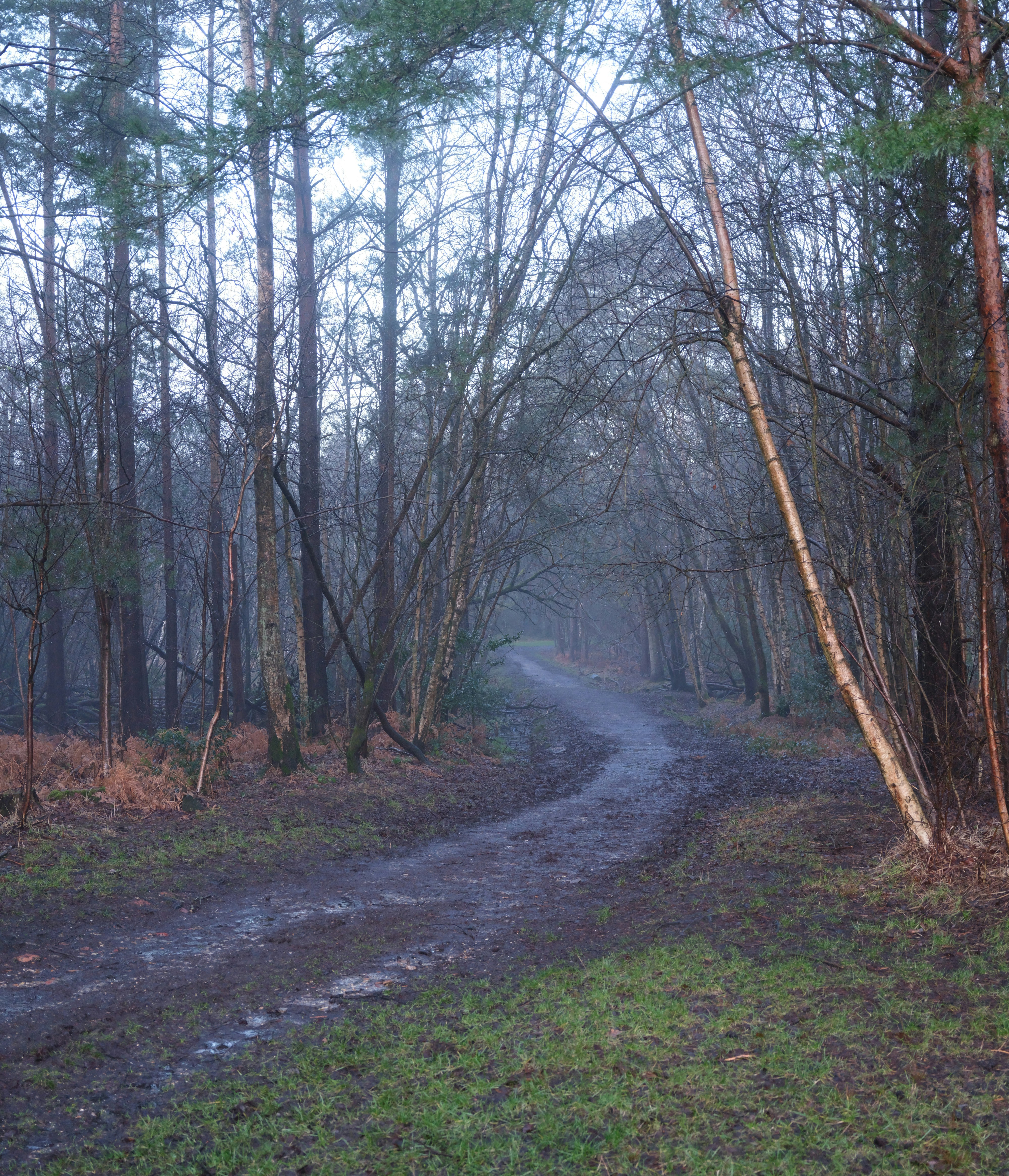 Photo by tanyabarrow