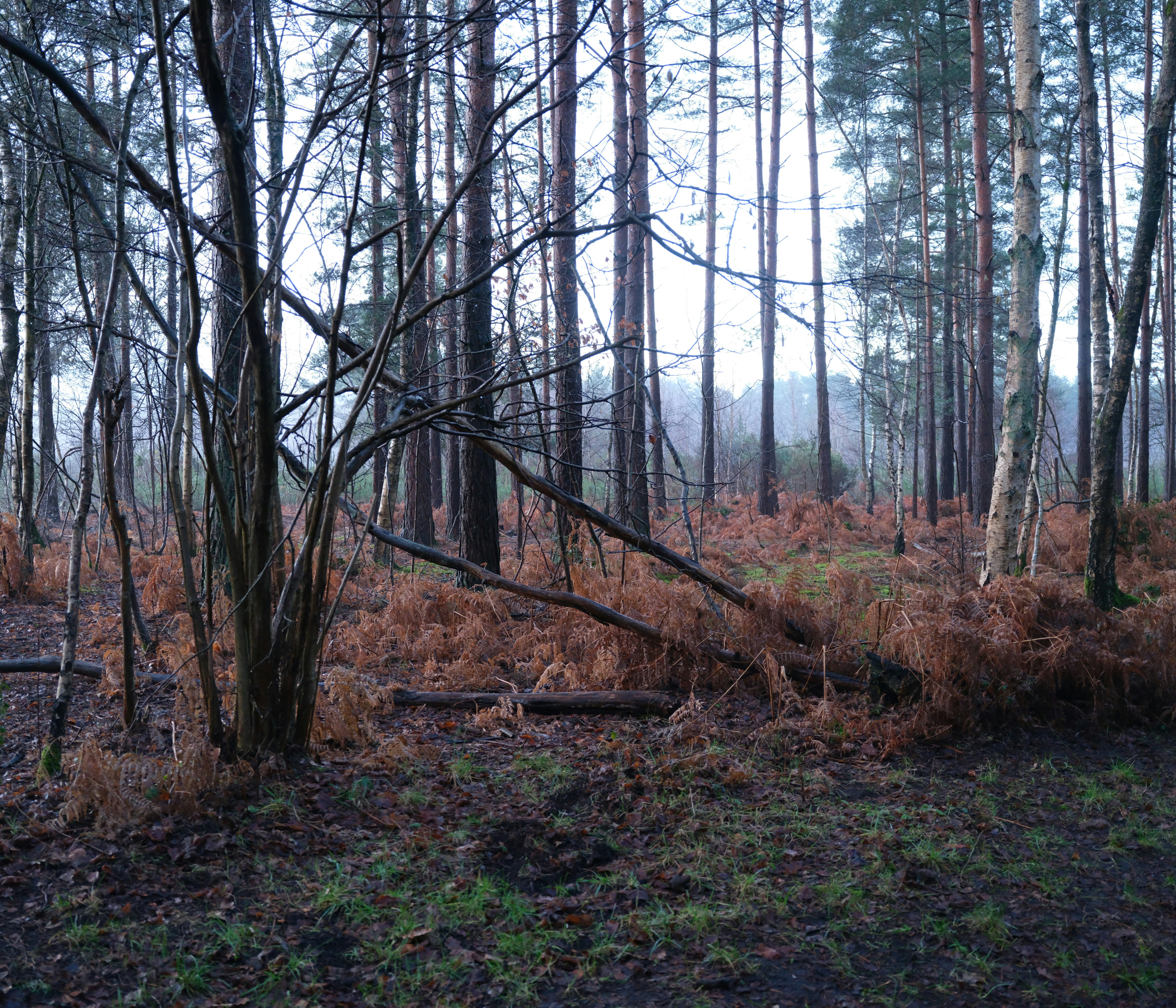 Photo by tanyabarrow