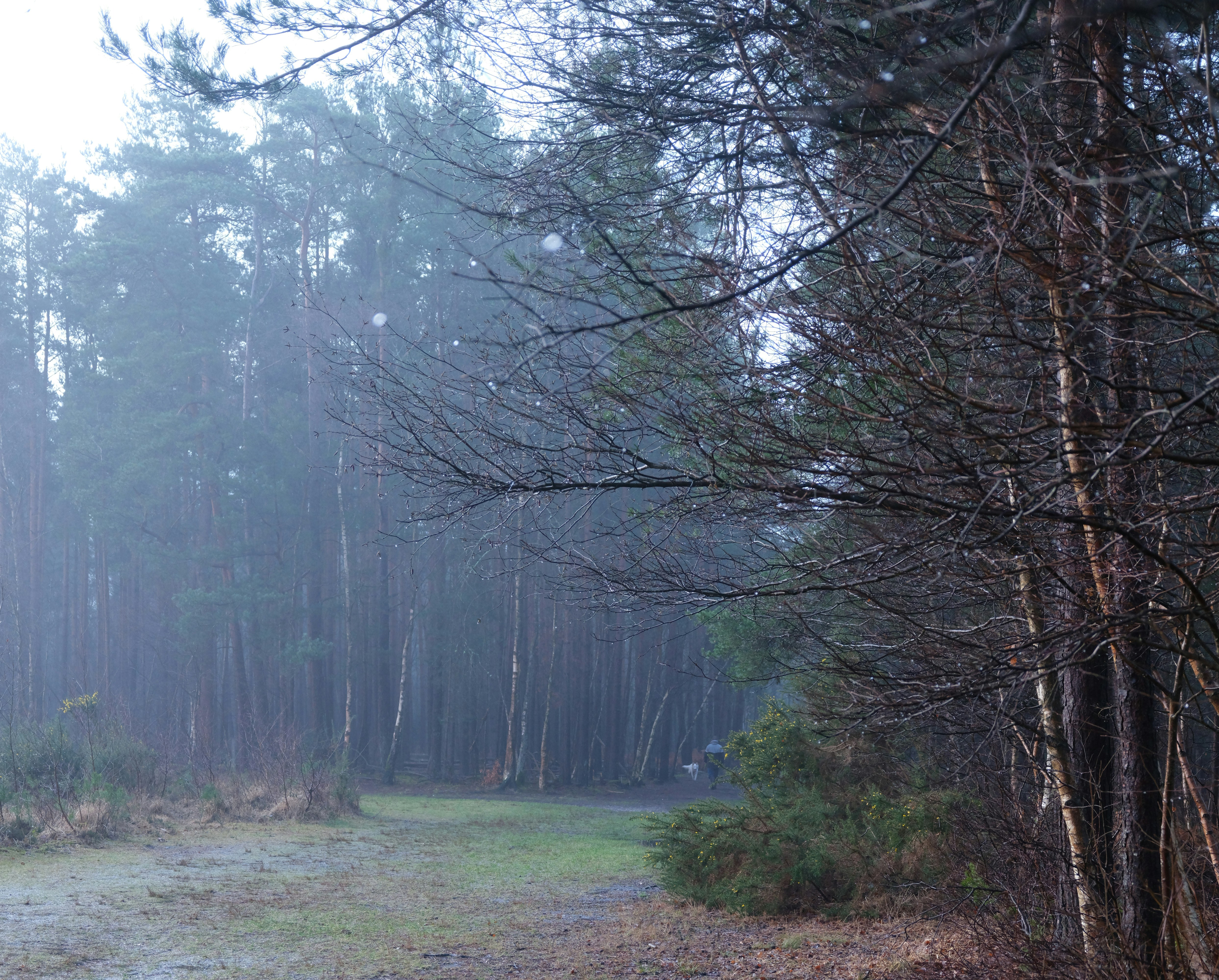 Photo by tanyabarrow