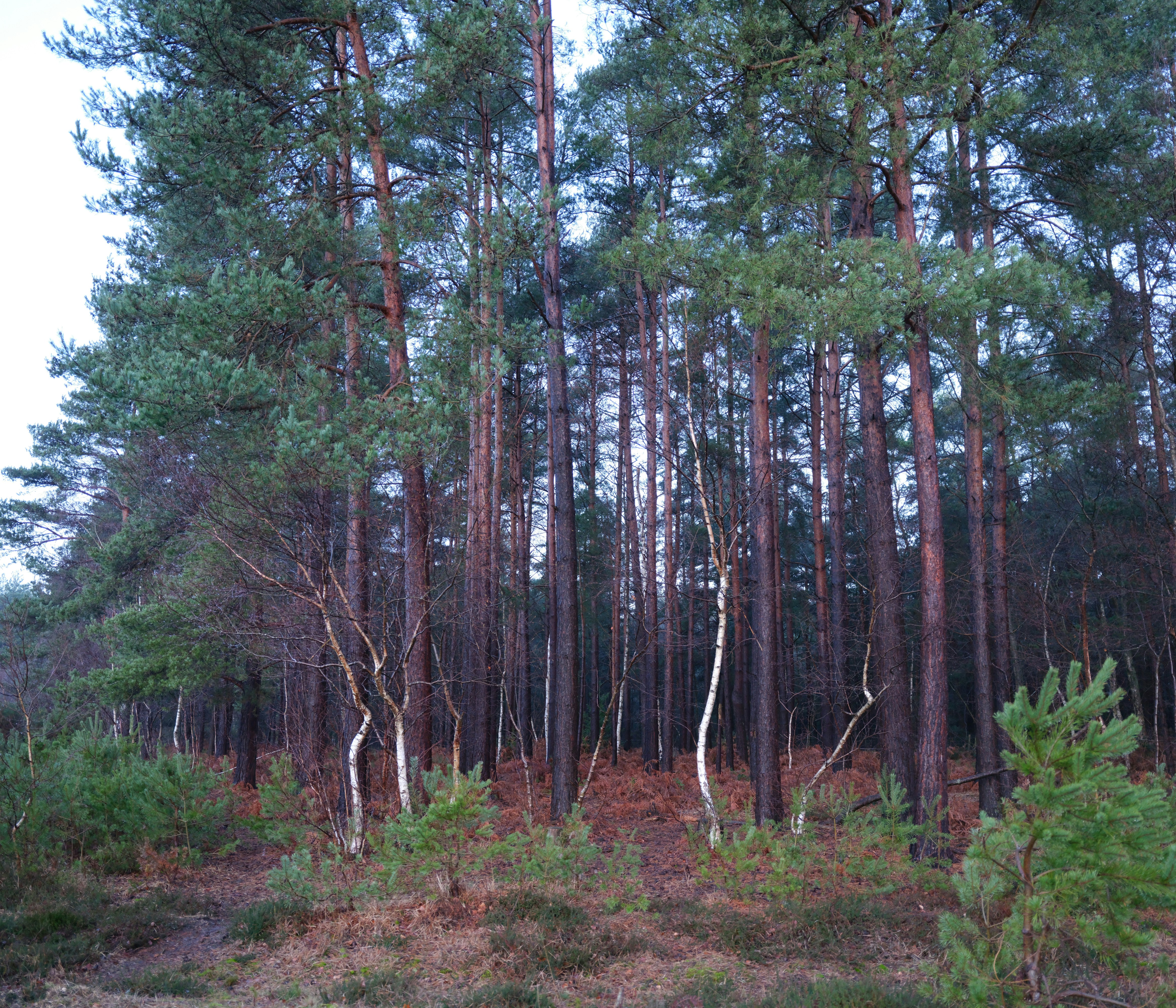 Photo by tanyabarrow