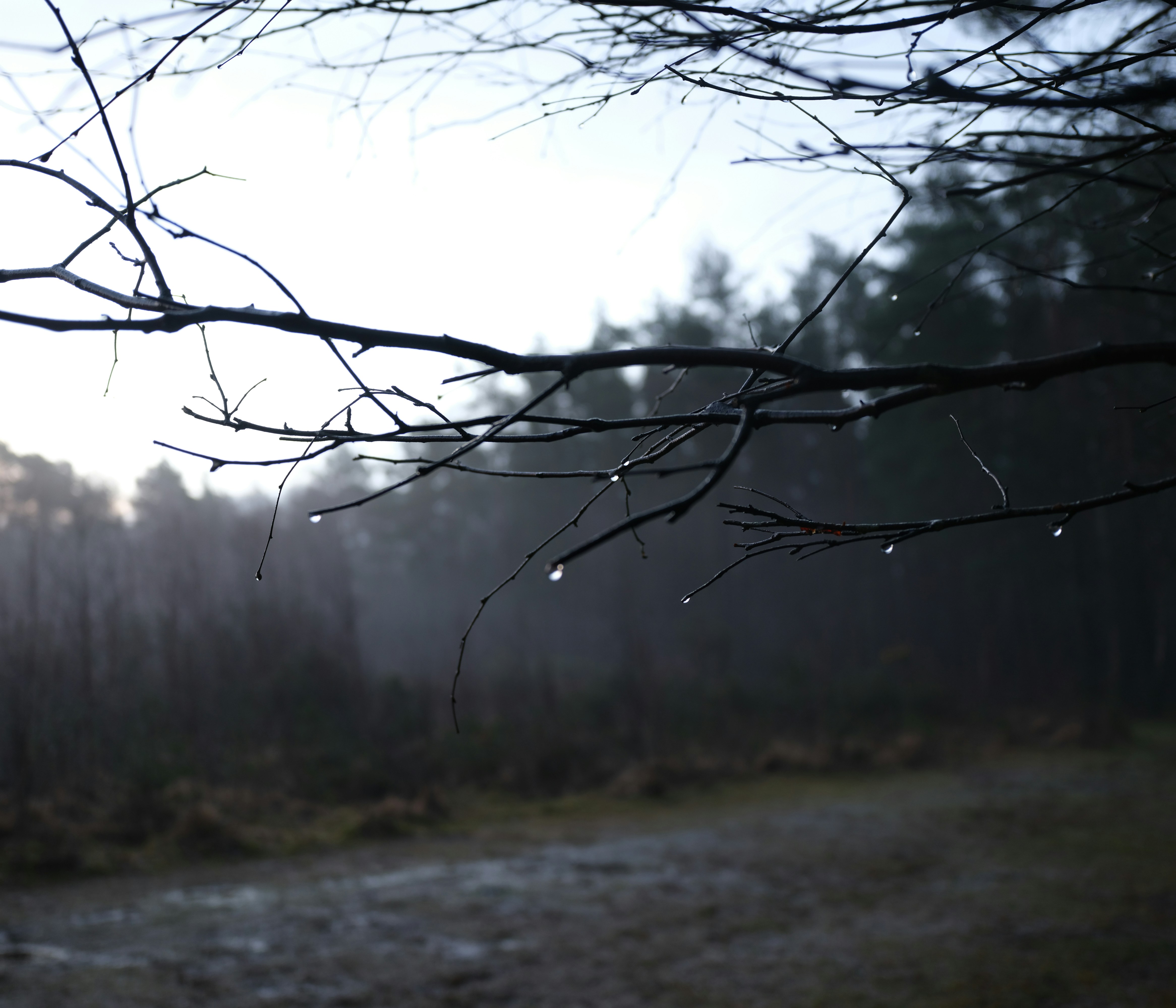 Photo by tanyabarrow