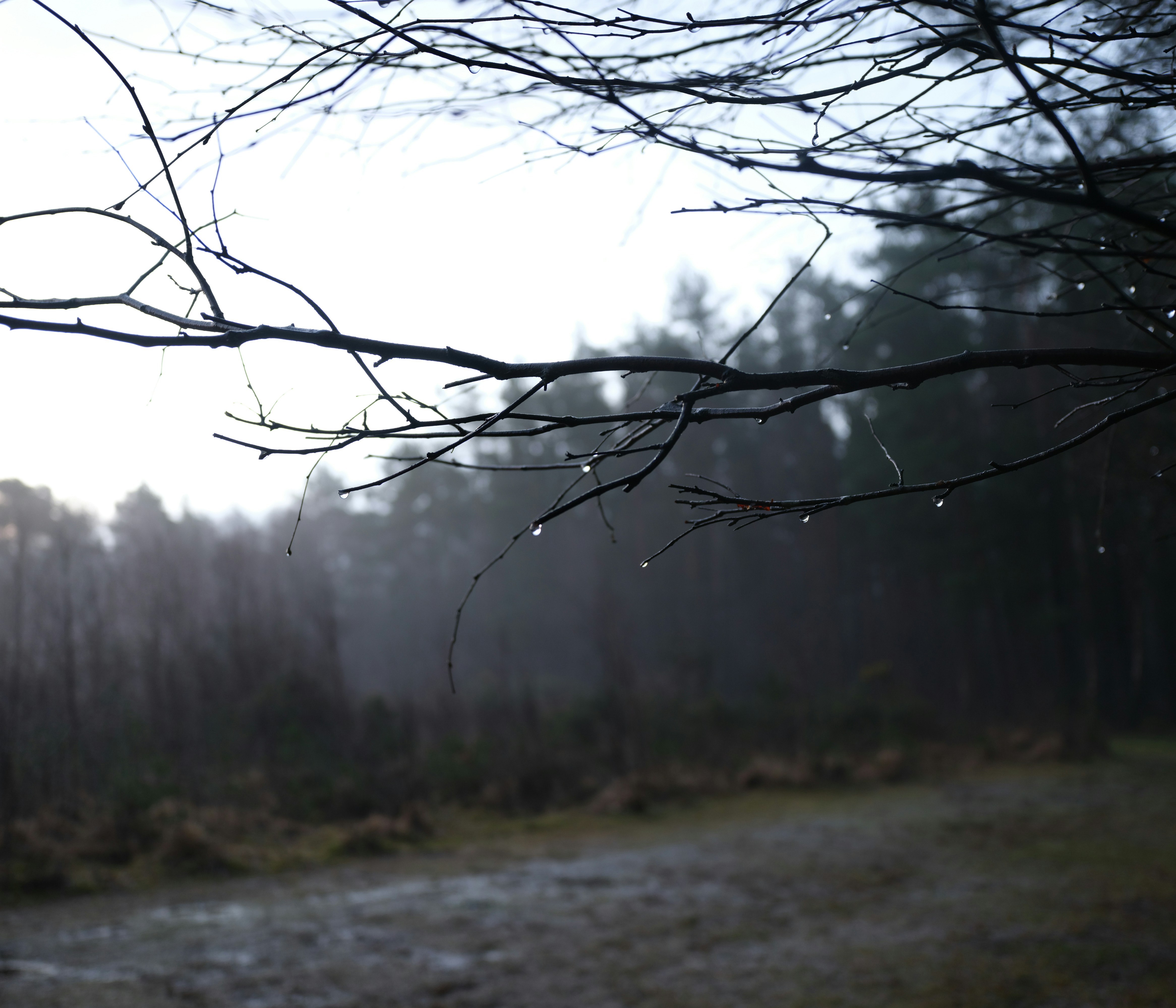 Photo by tanyabarrow