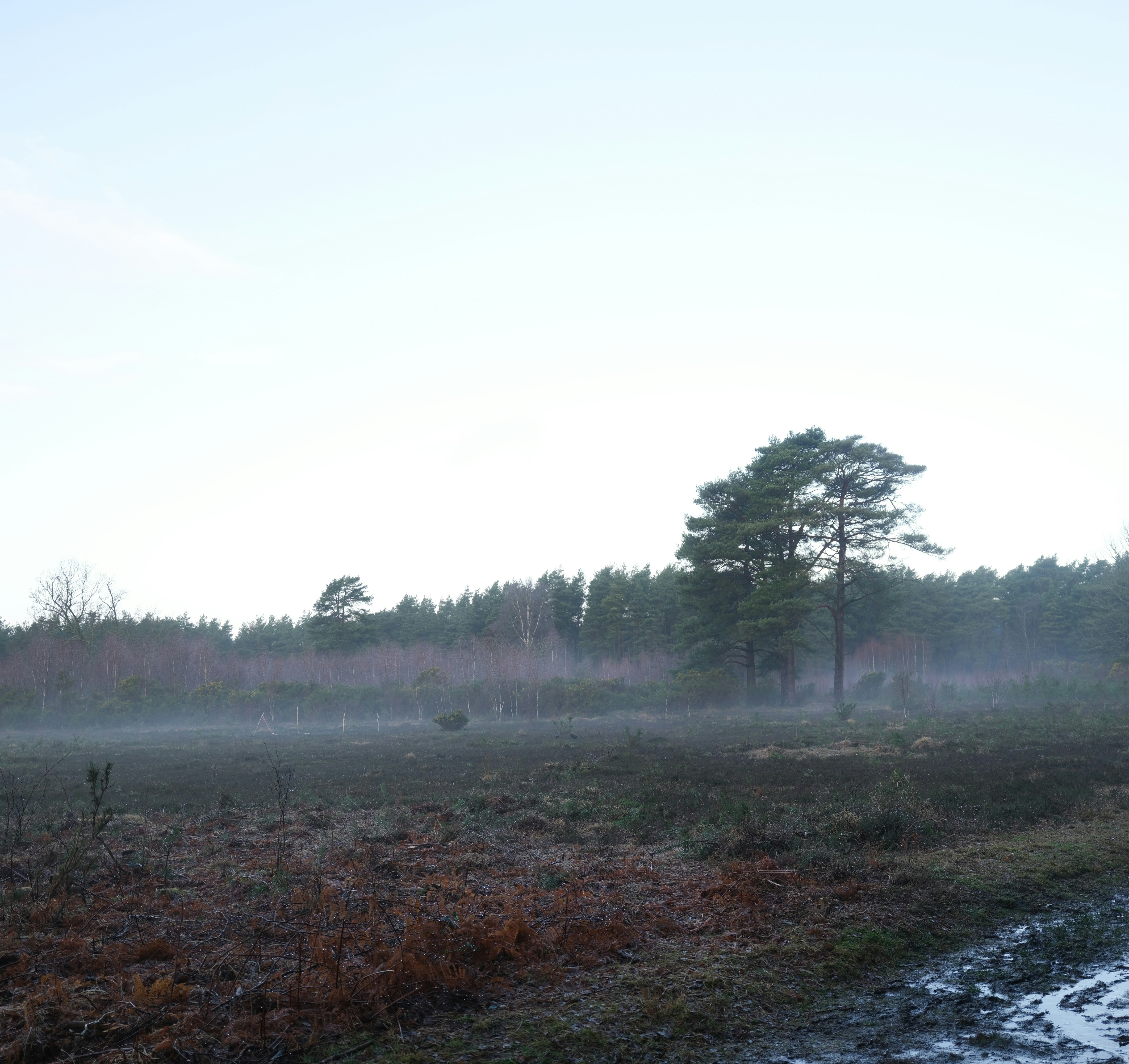 Photo by tanyabarrow