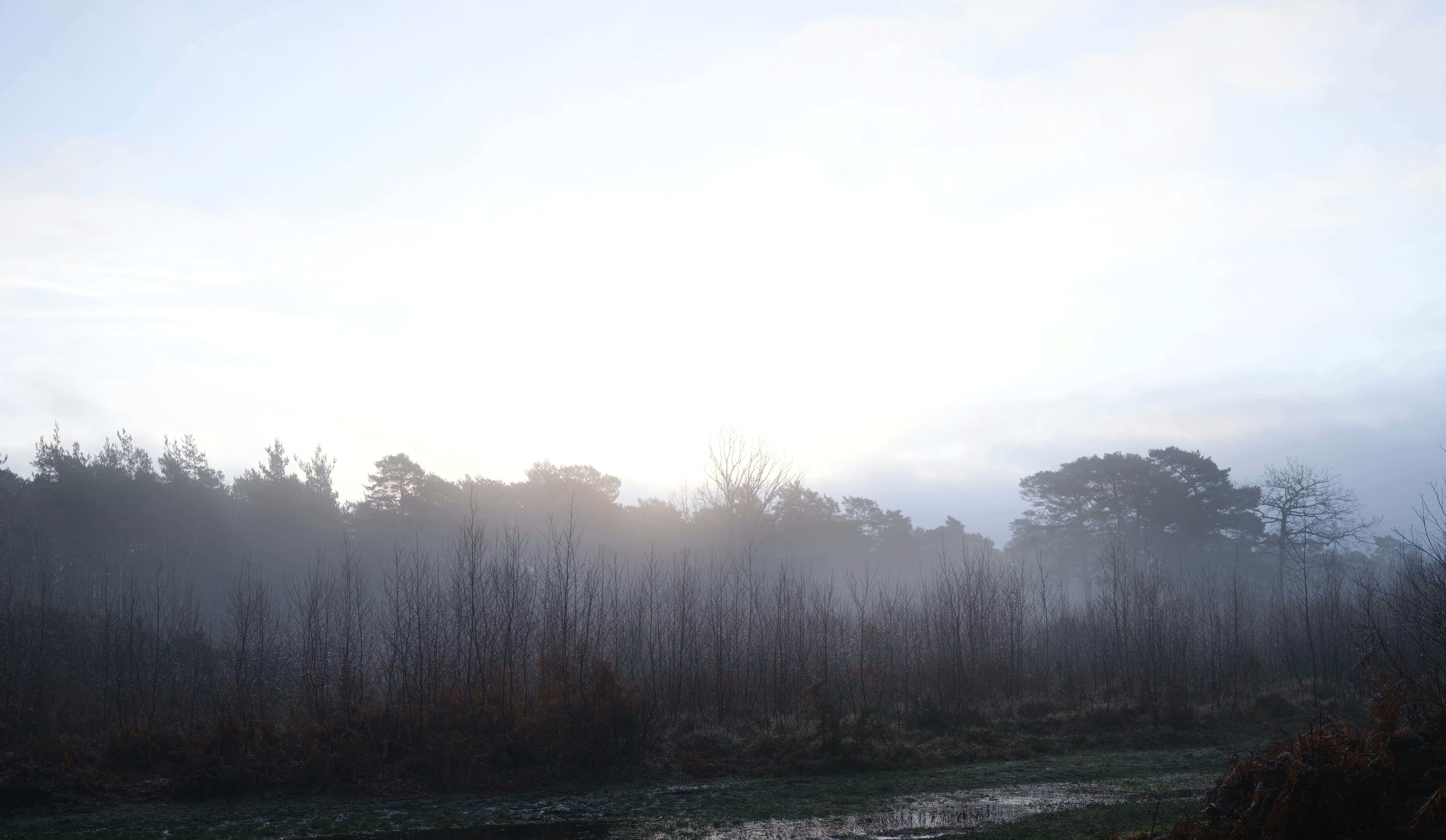 Photo by tanyabarrow