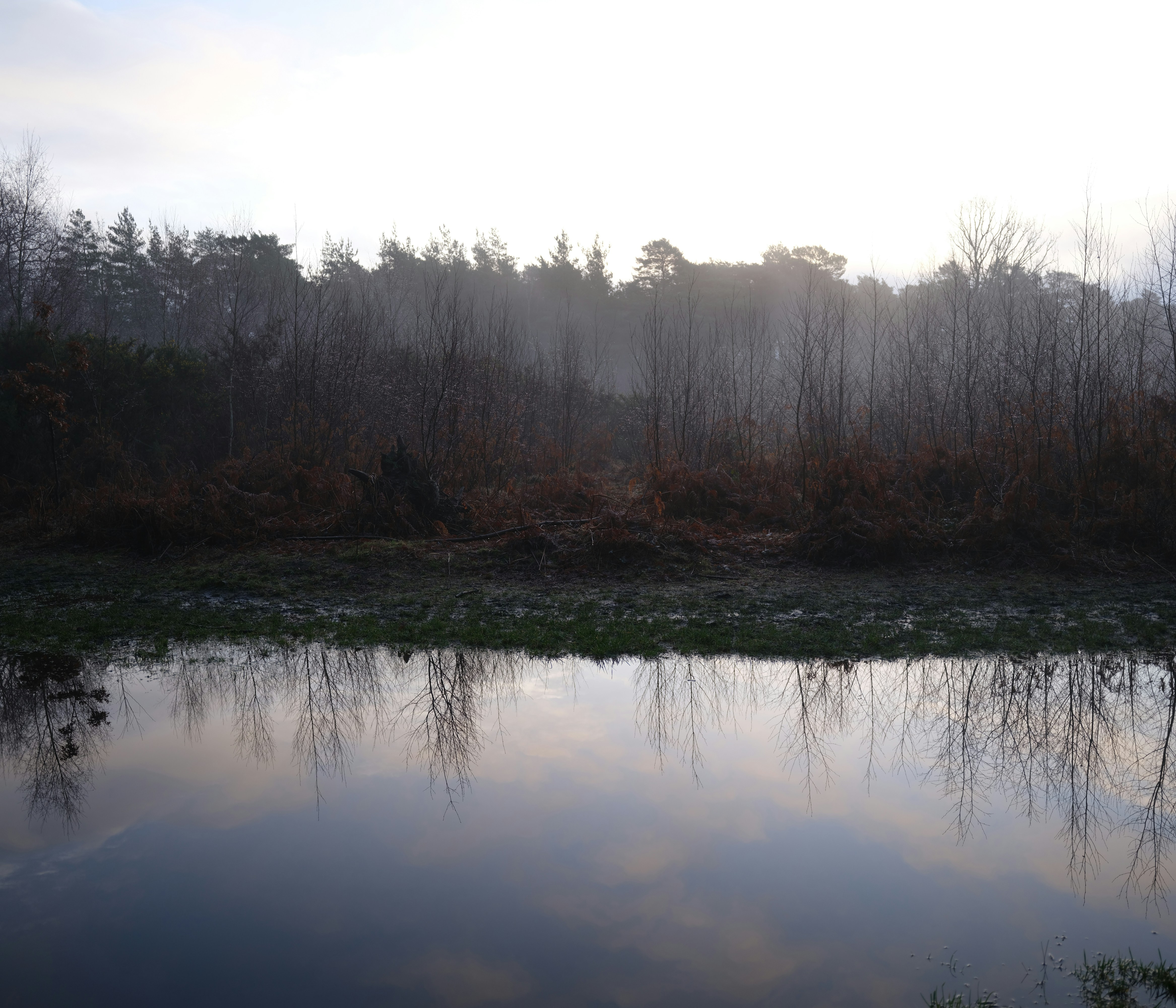 Photo by tanyabarrow