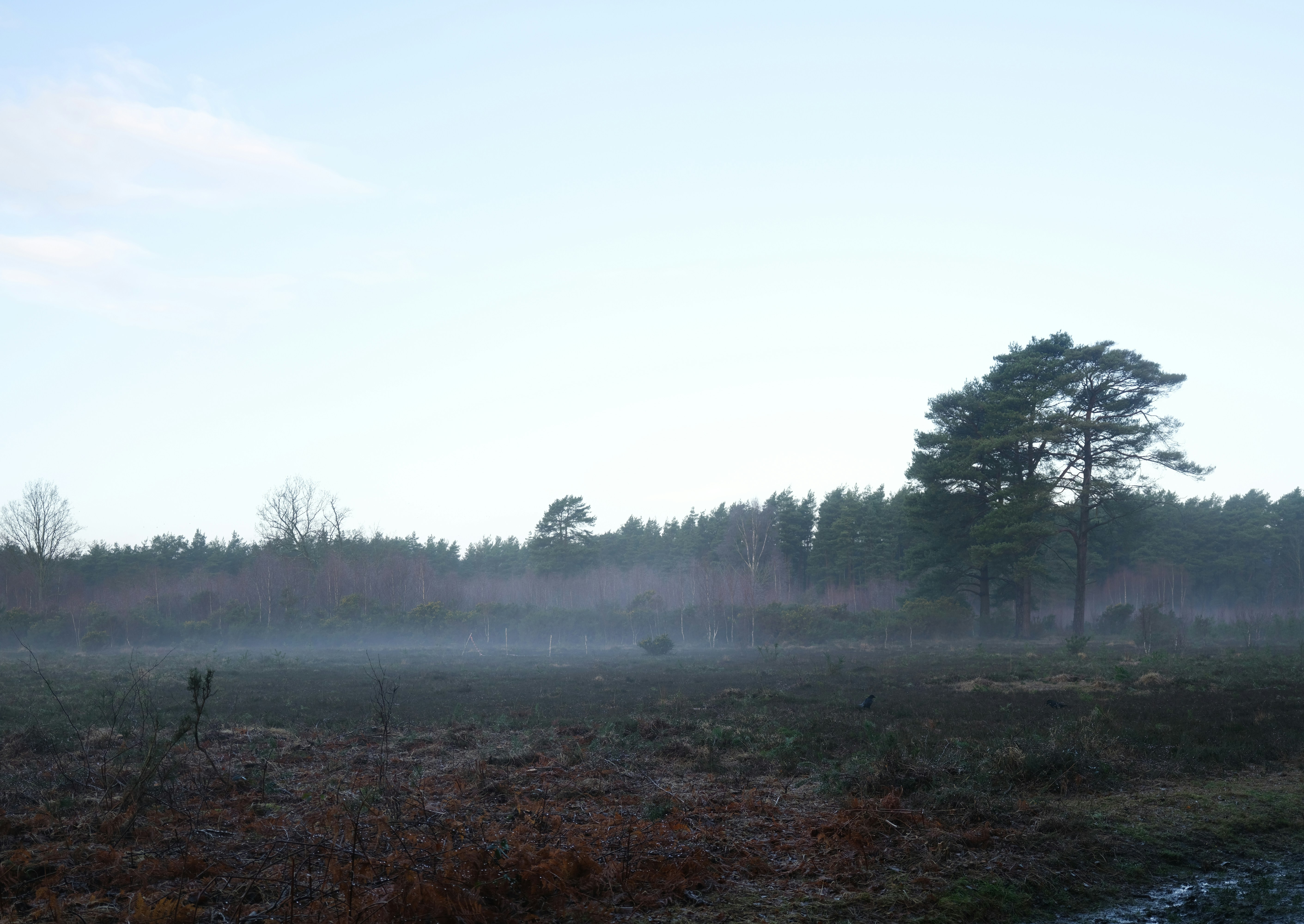 Photo by tanyabarrow