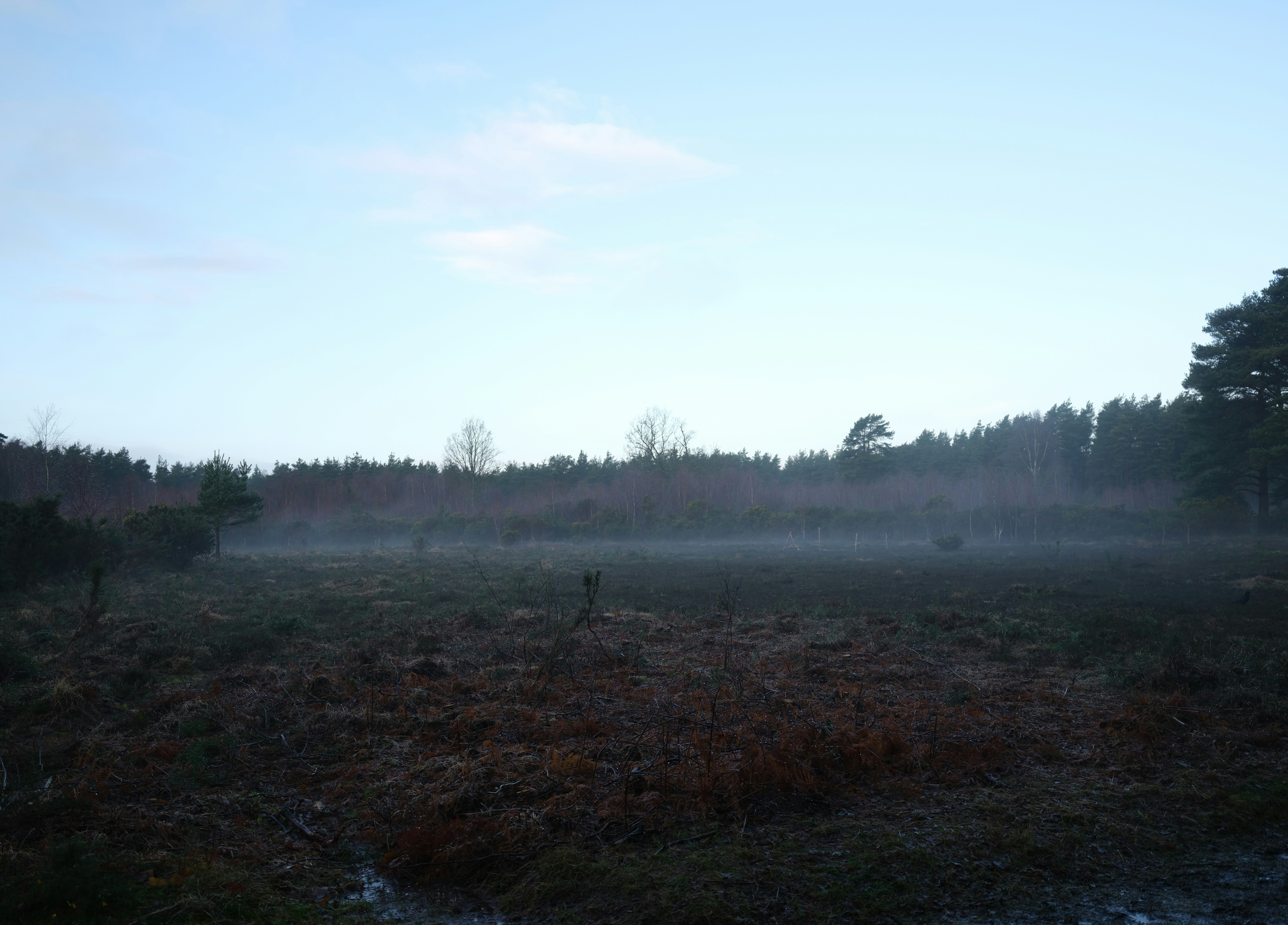 Photo by tanyabarrow