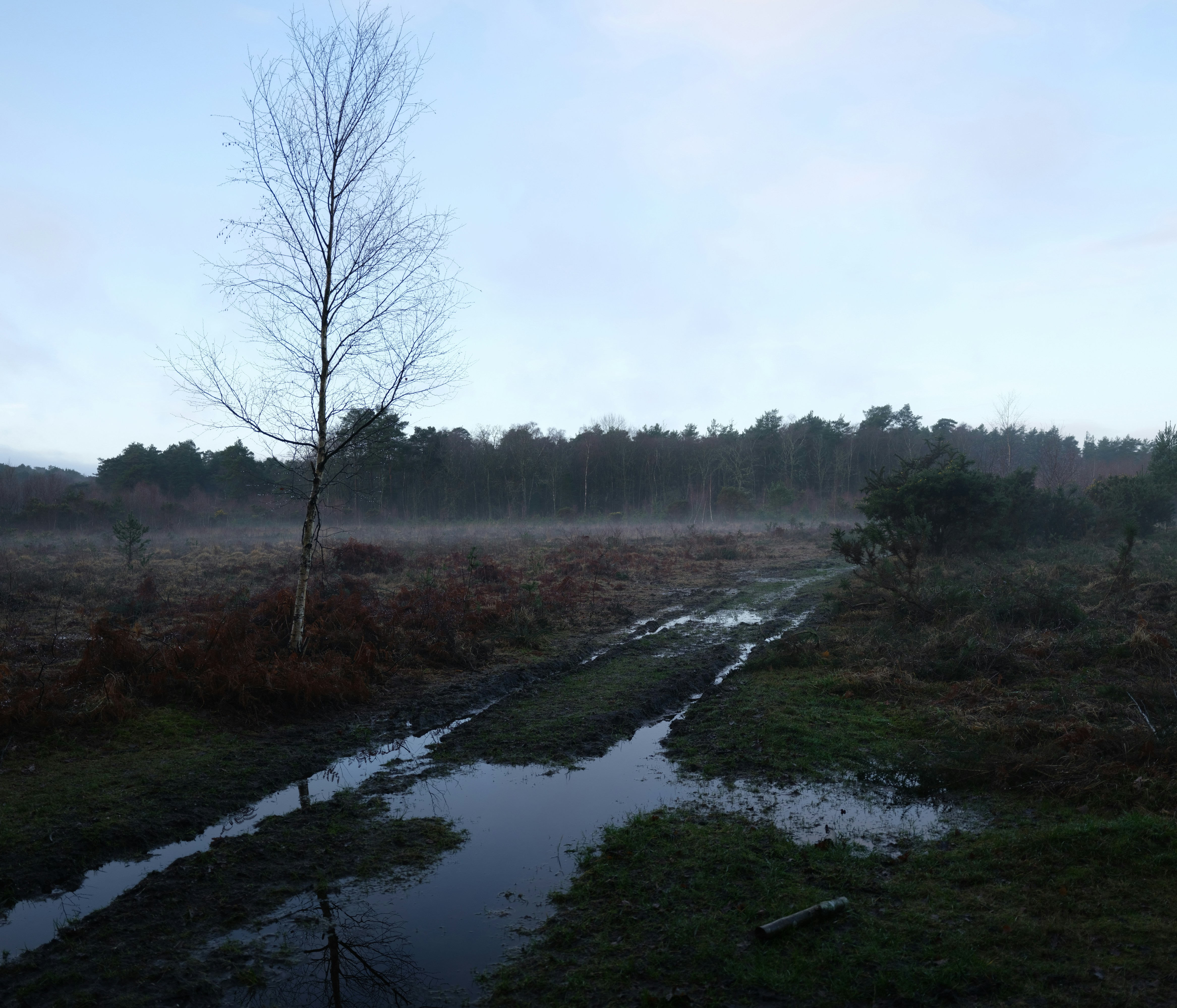 Photo by tanyabarrow