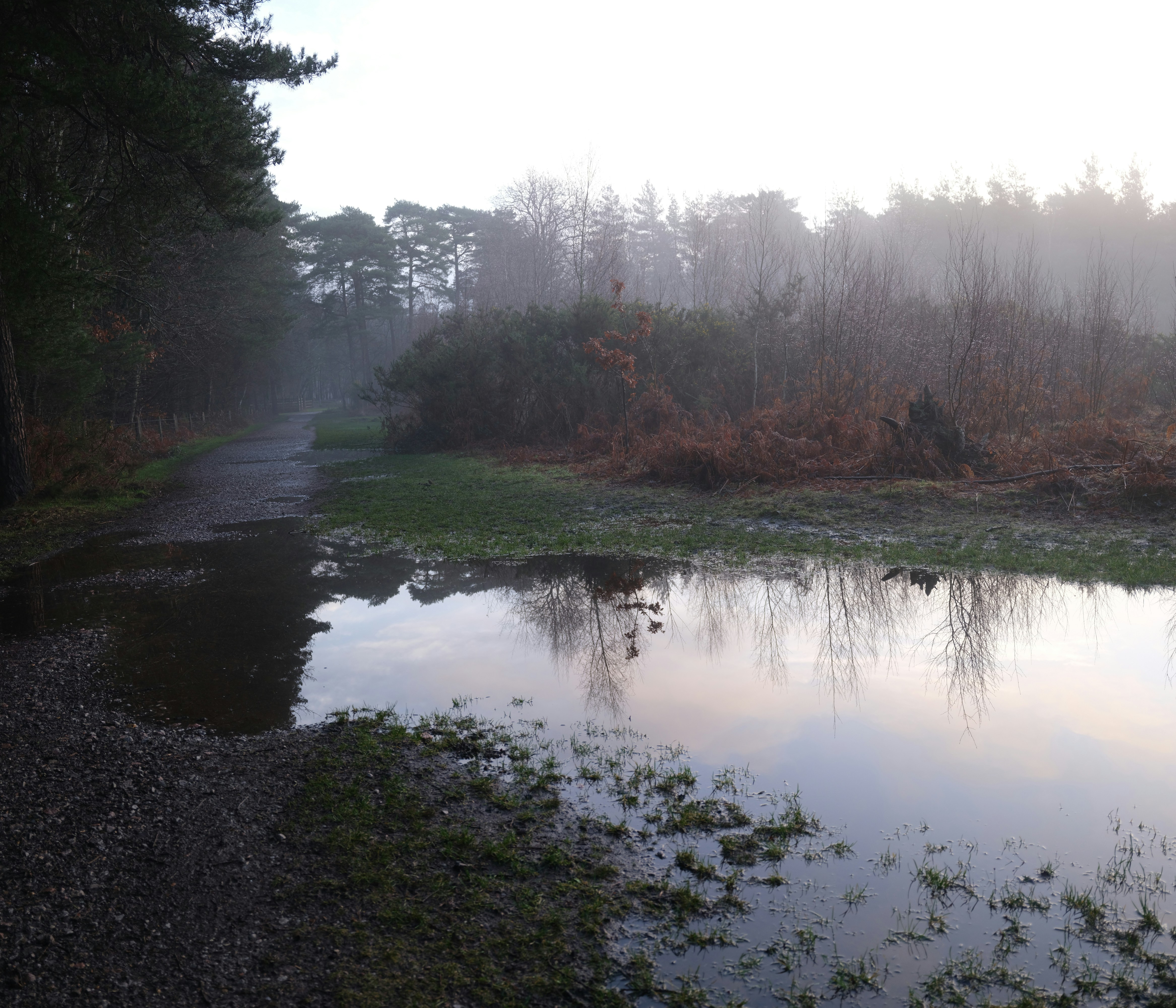 Photo by tanyabarrow