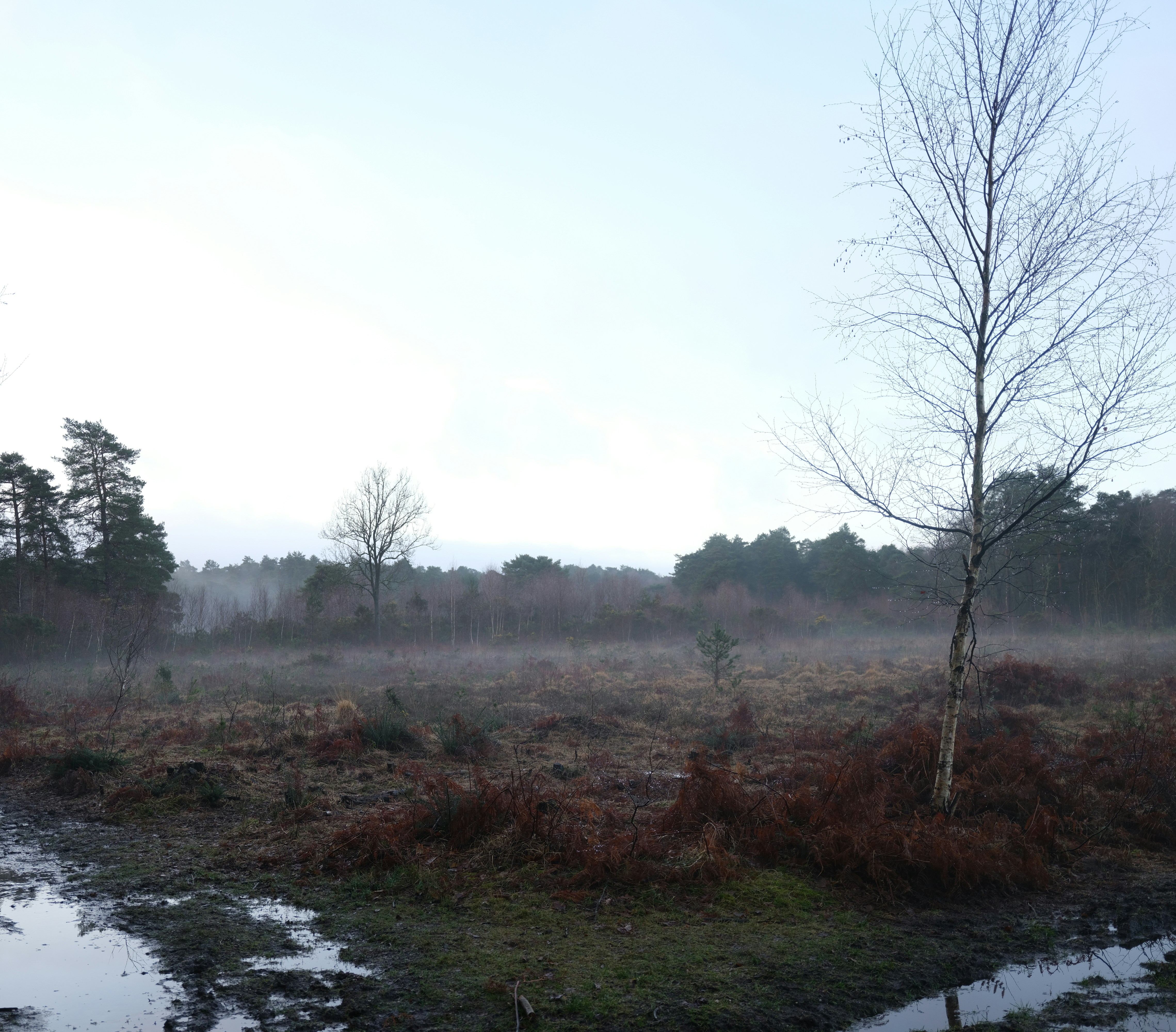 Photo by tanyabarrow