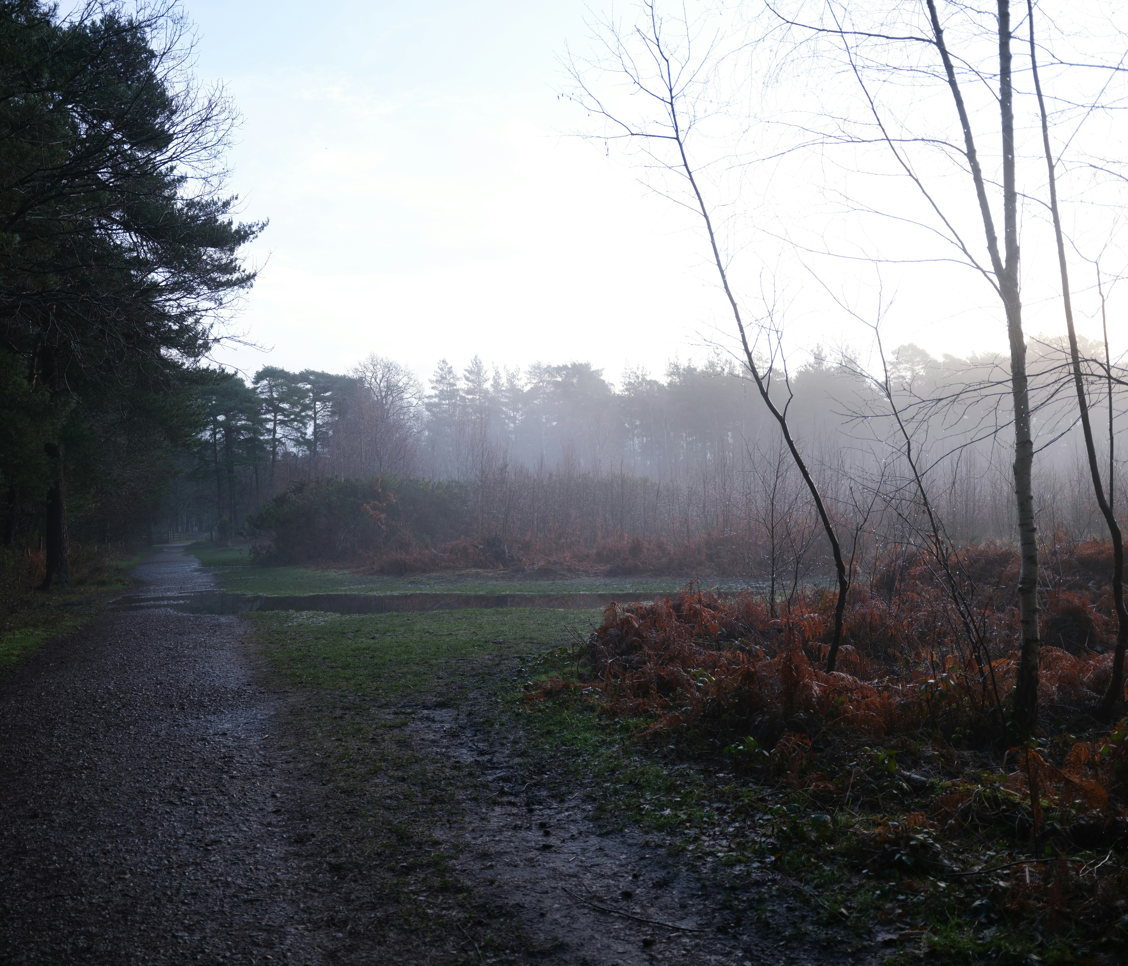 Photo by tanyabarrow