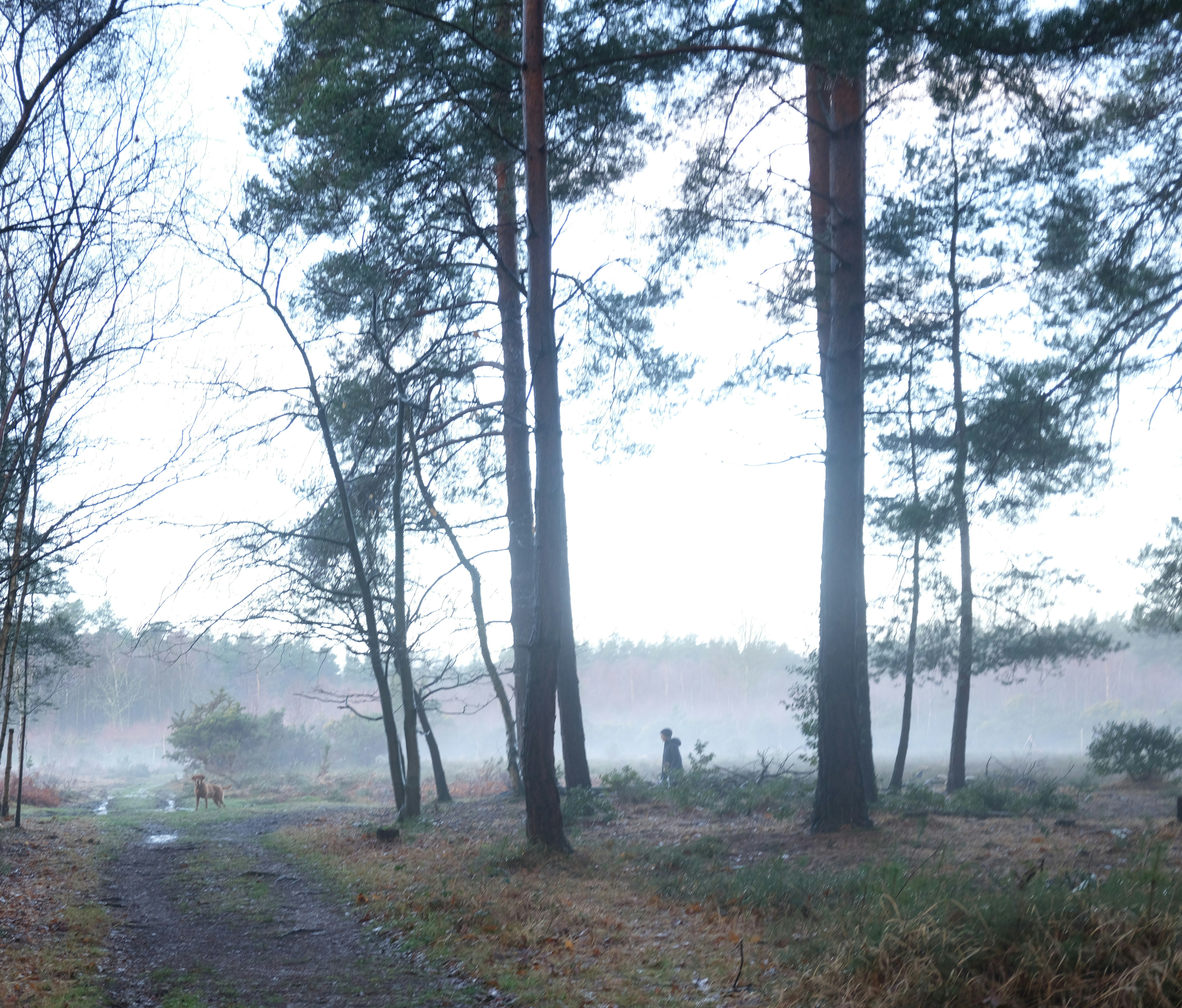 Photo by tanyabarrow