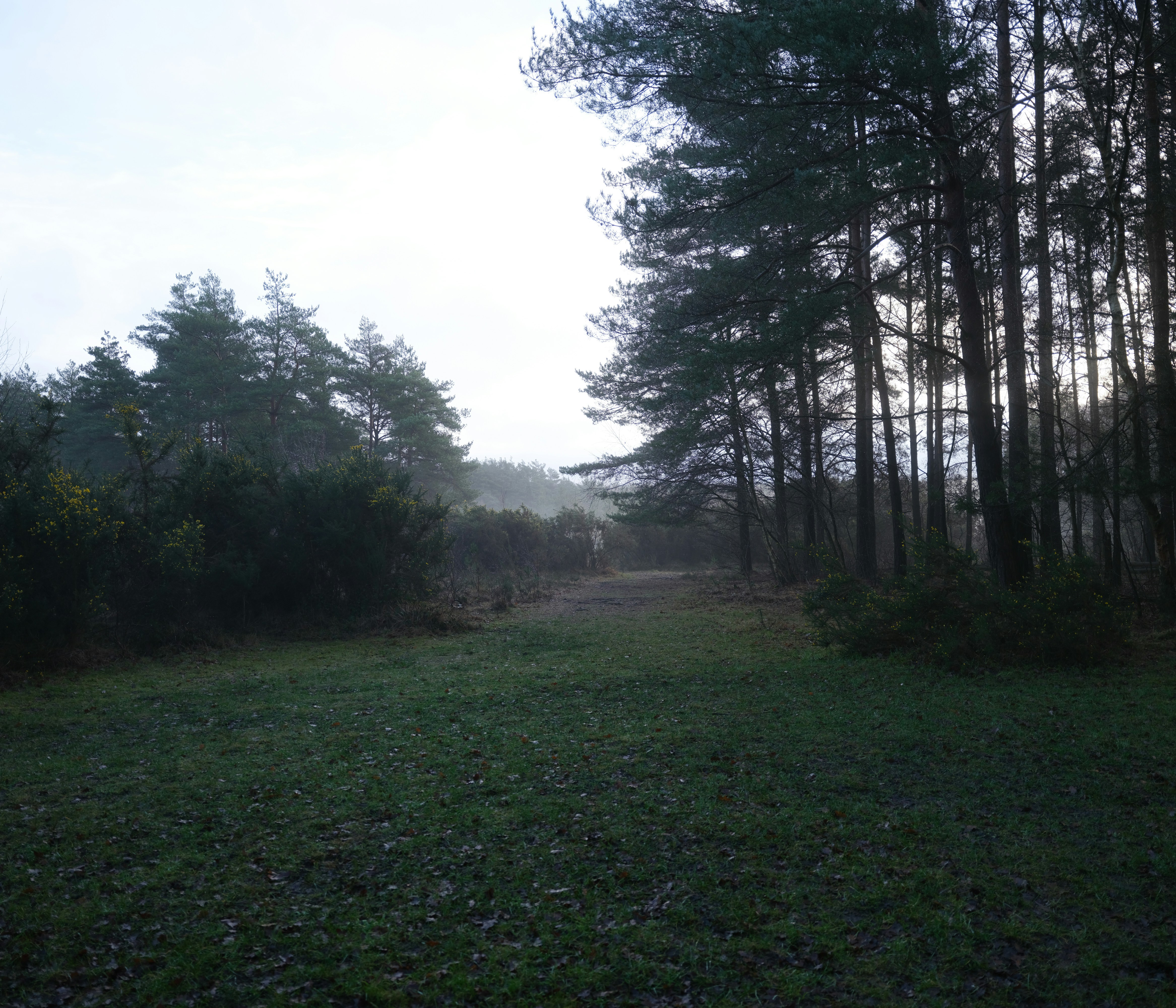 Photo by tanyabarrow