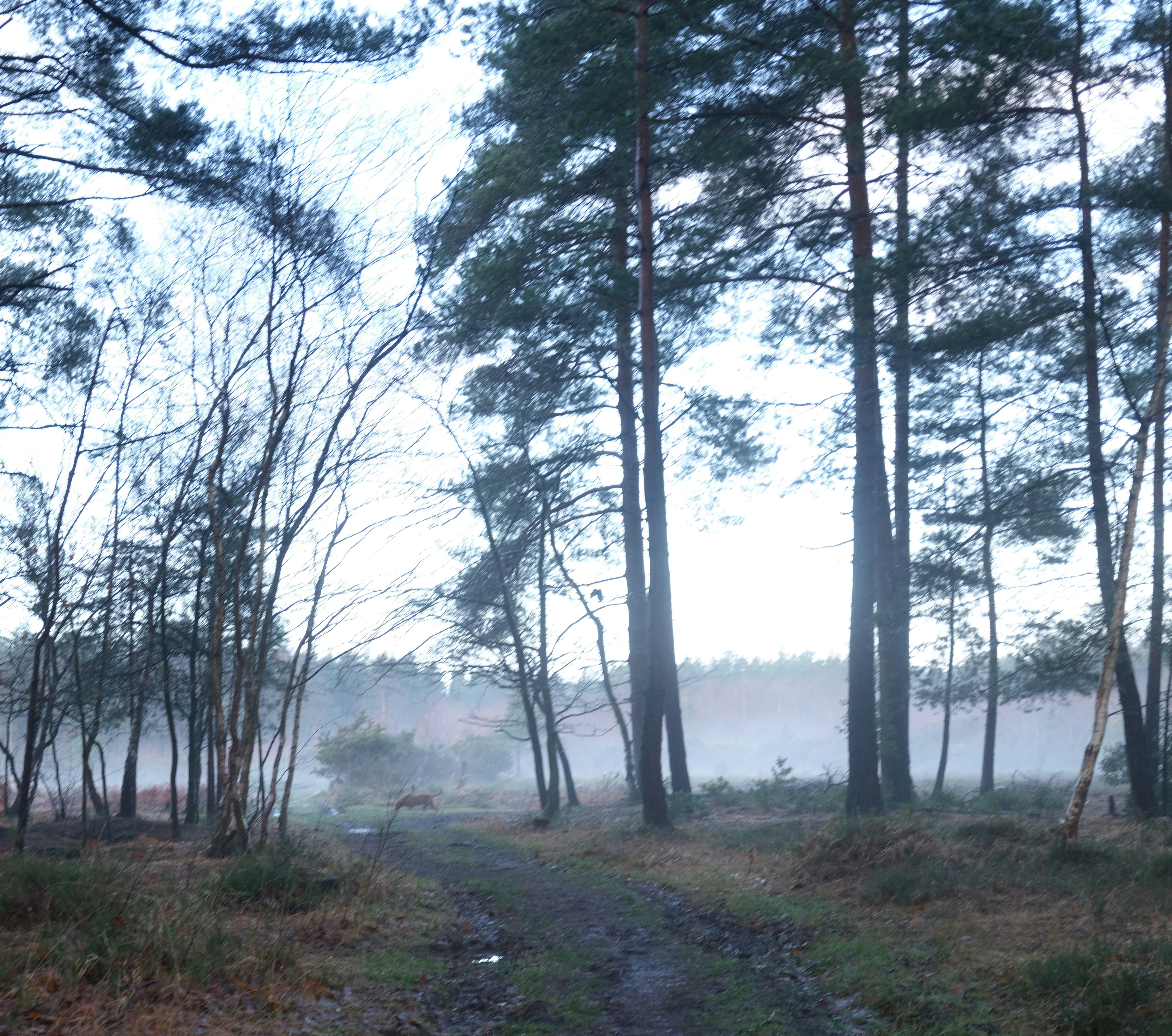 Photo by tanyabarrow