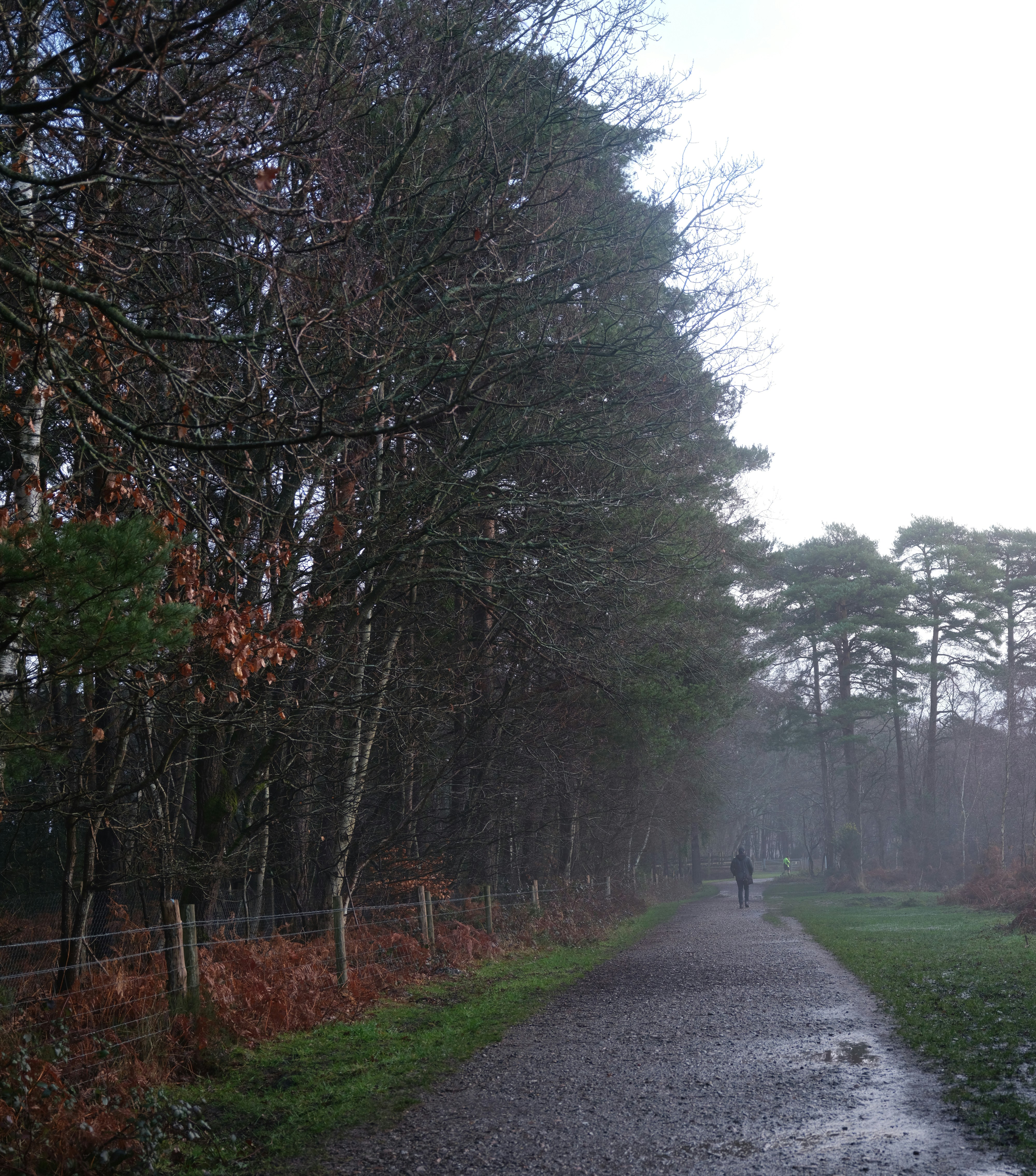 Photo by tanyabarrow