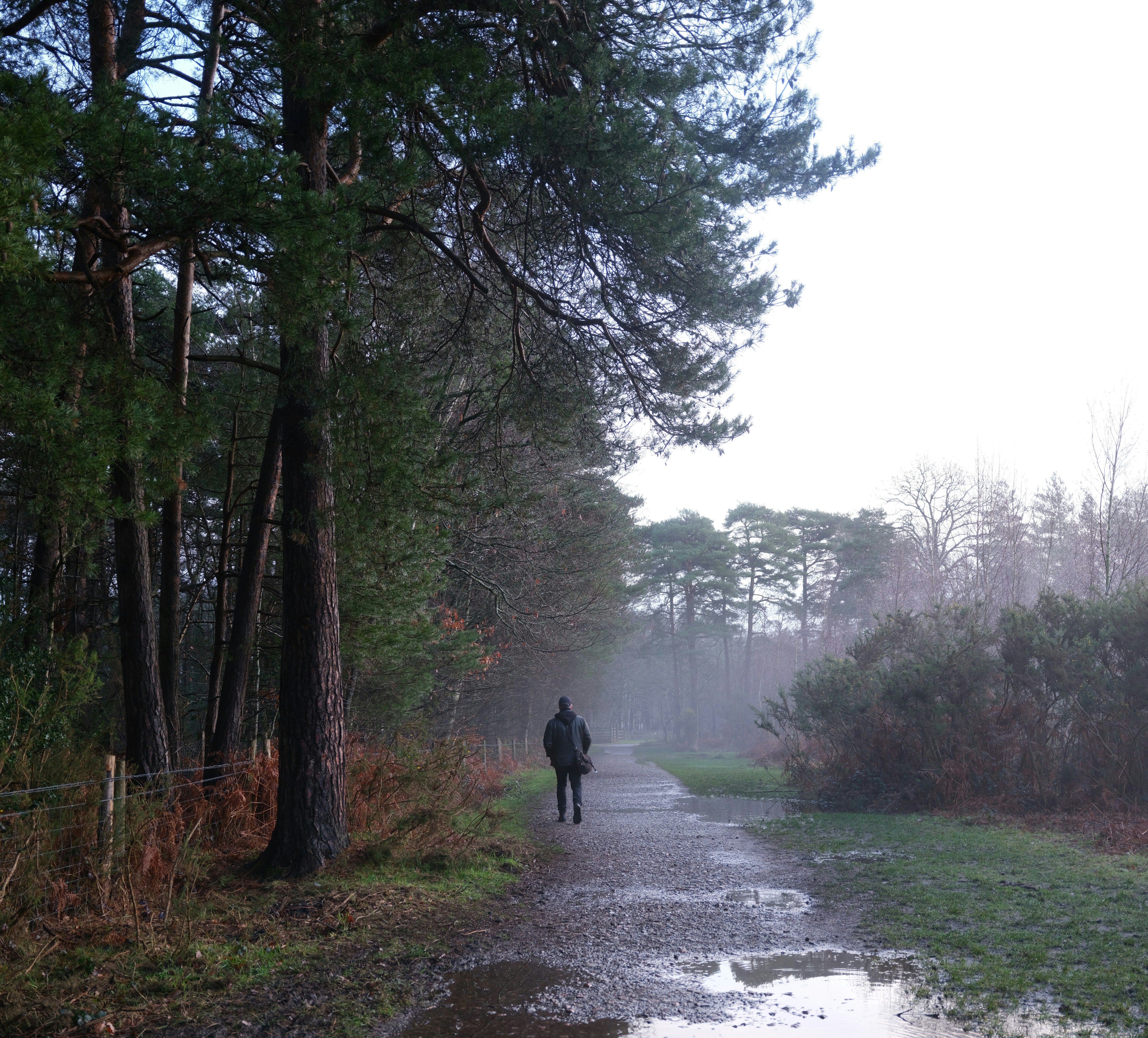 Photo by tanyabarrow