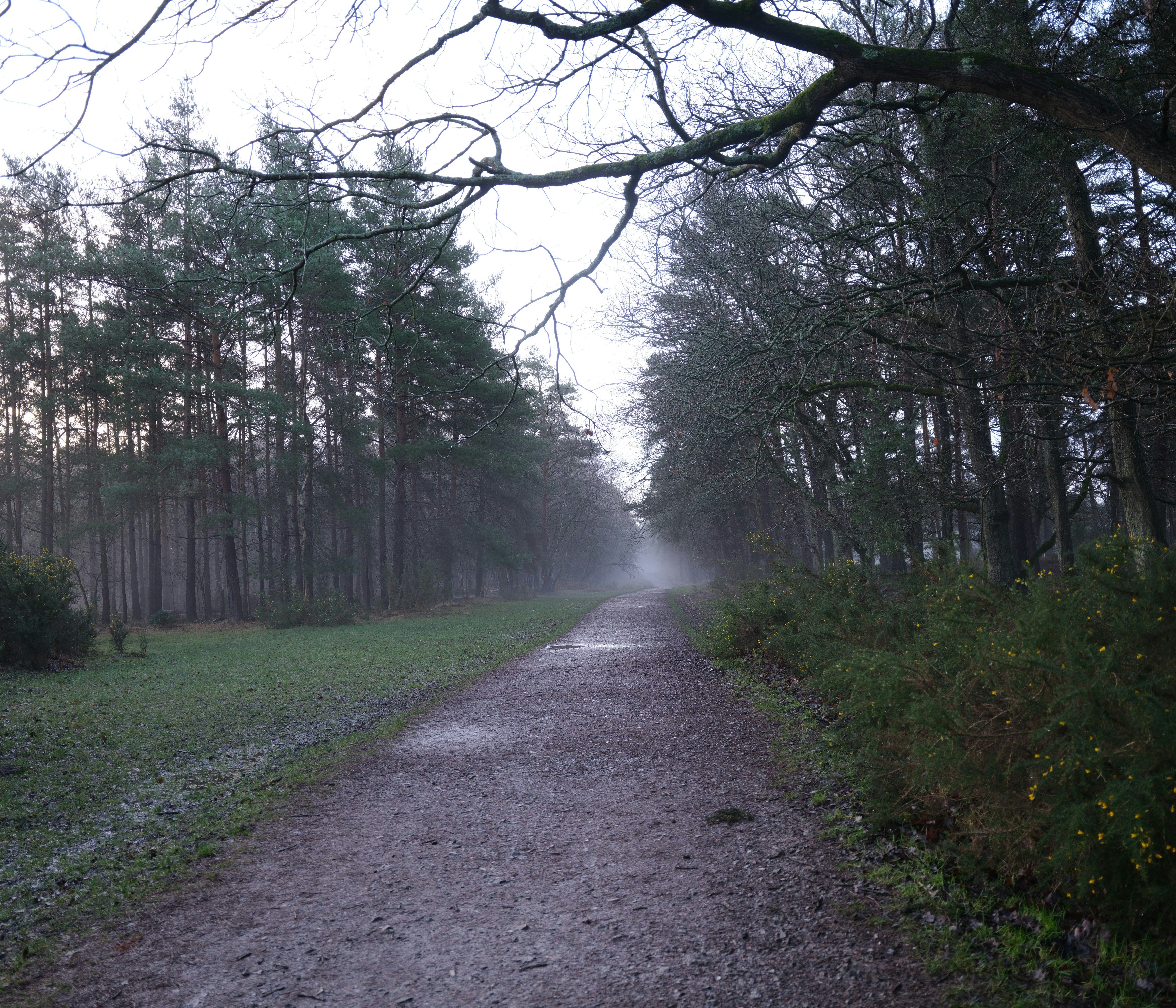 Photo by tanyabarrow