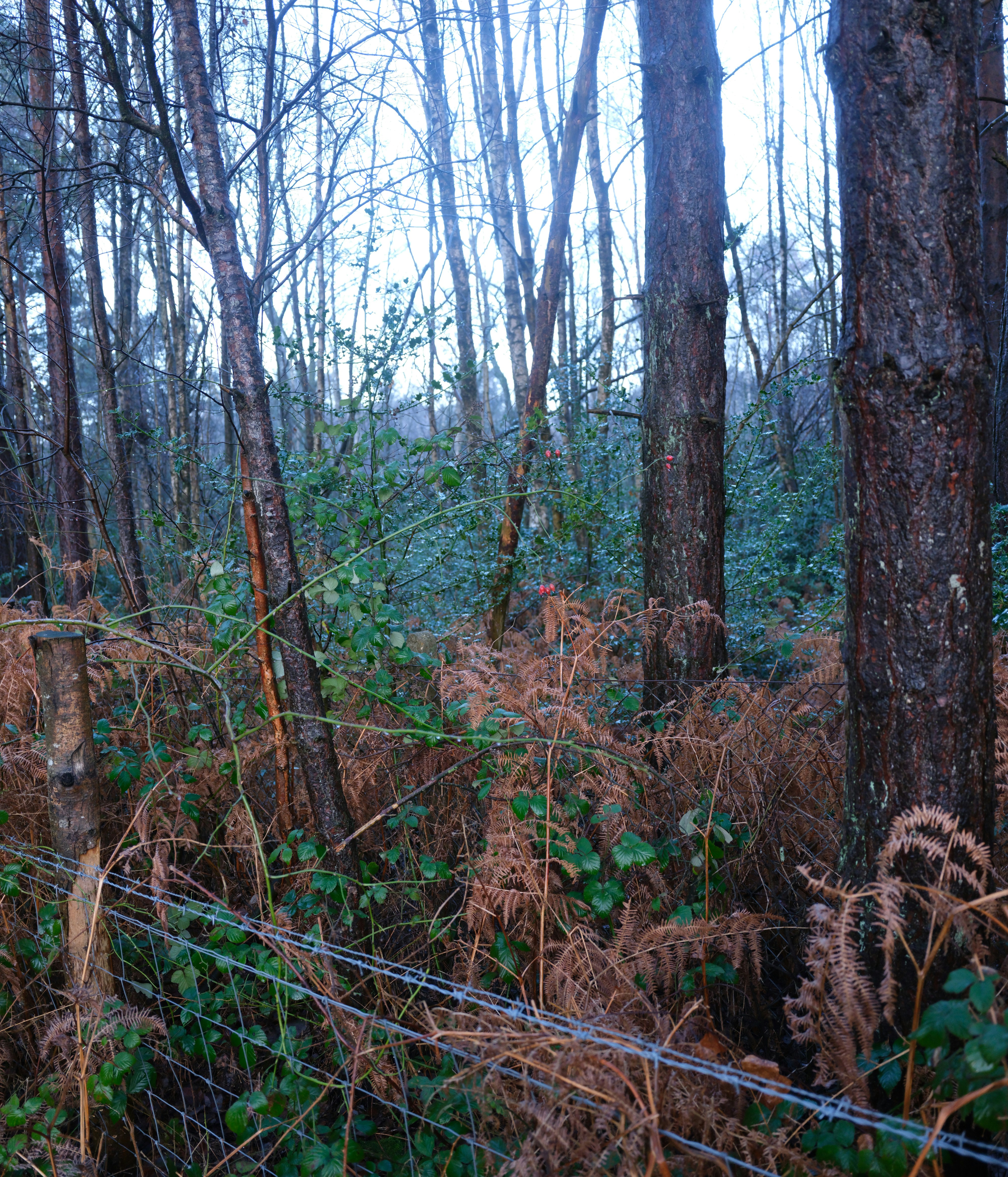 Photo by tanyabarrow