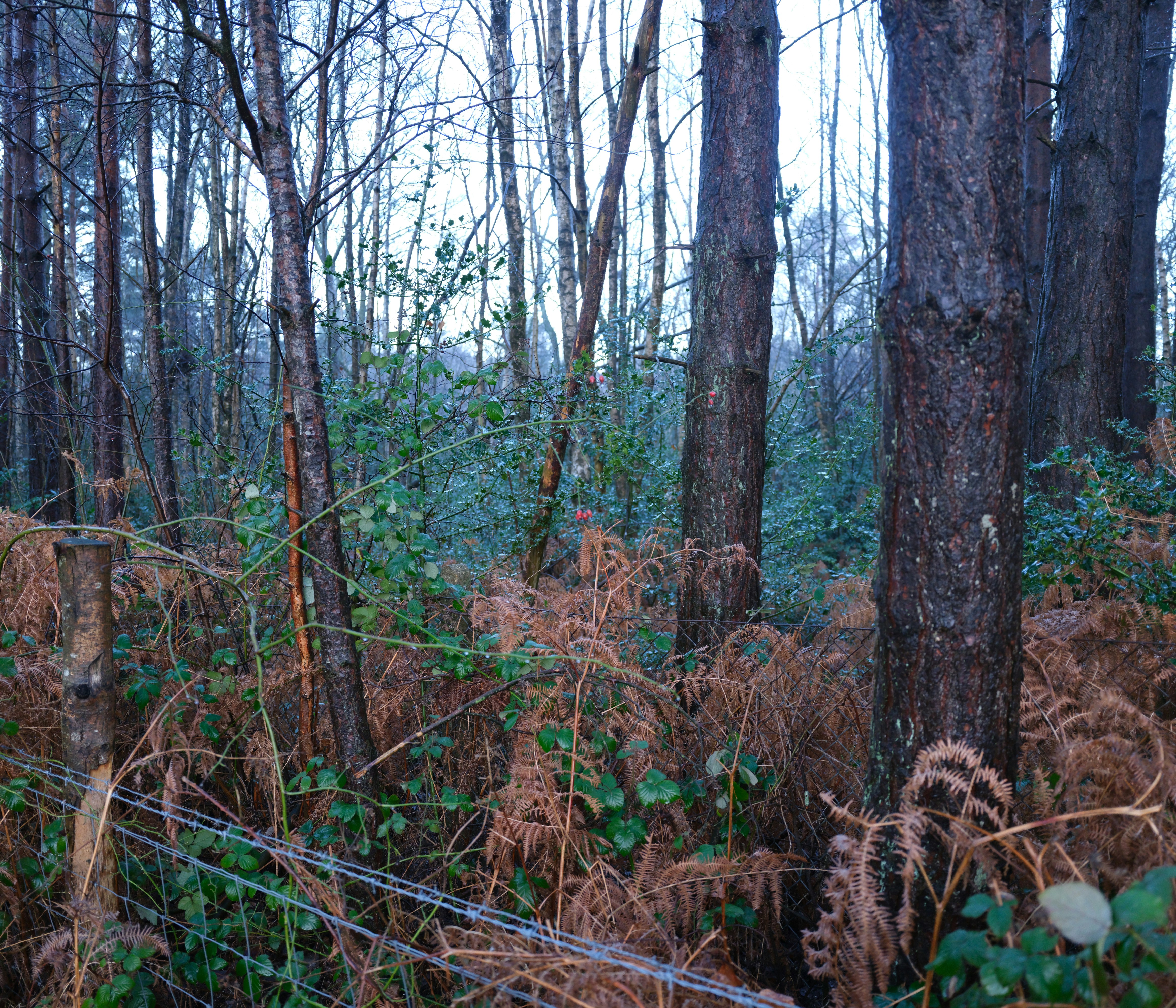 Photo by tanyabarrow