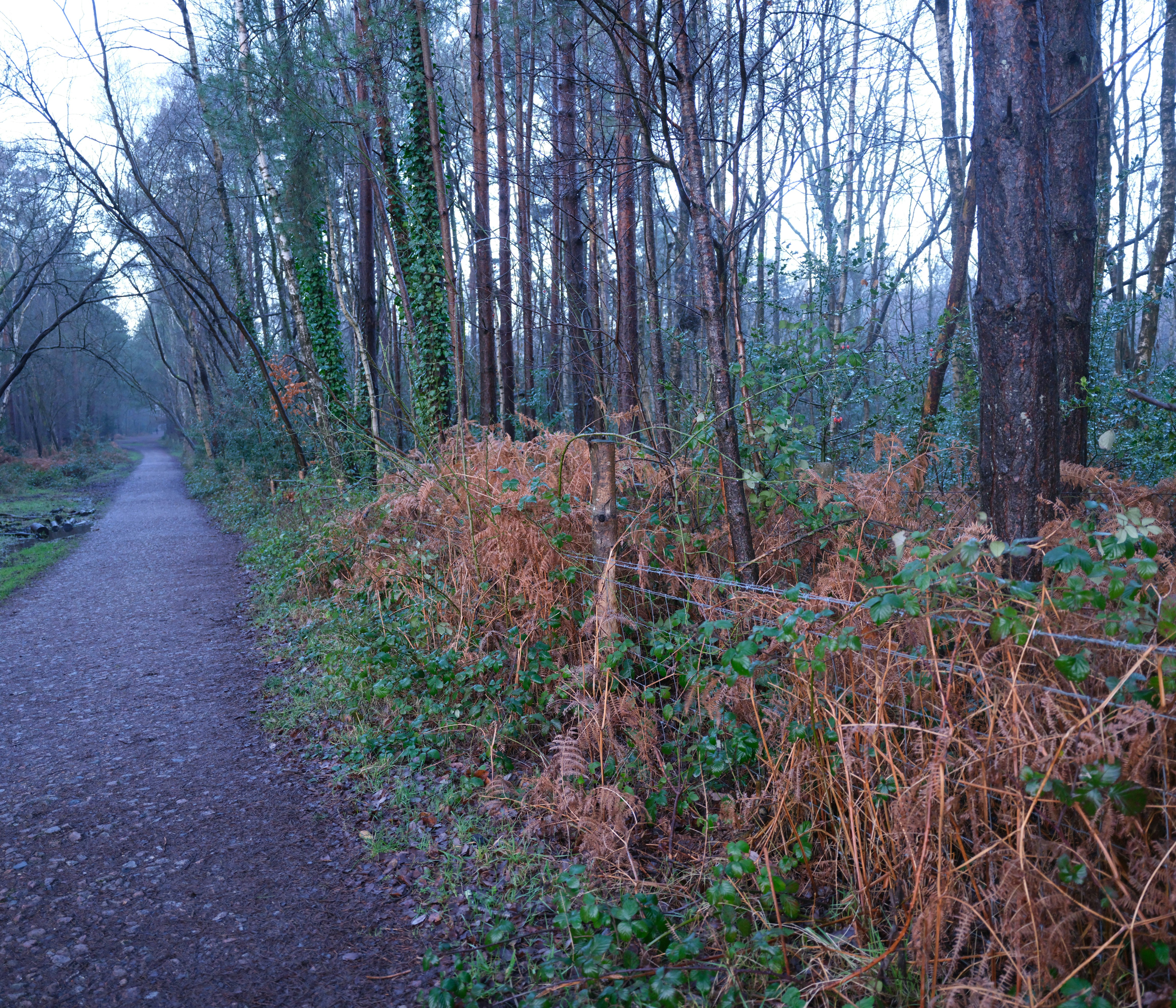 Photo by tanyabarrow