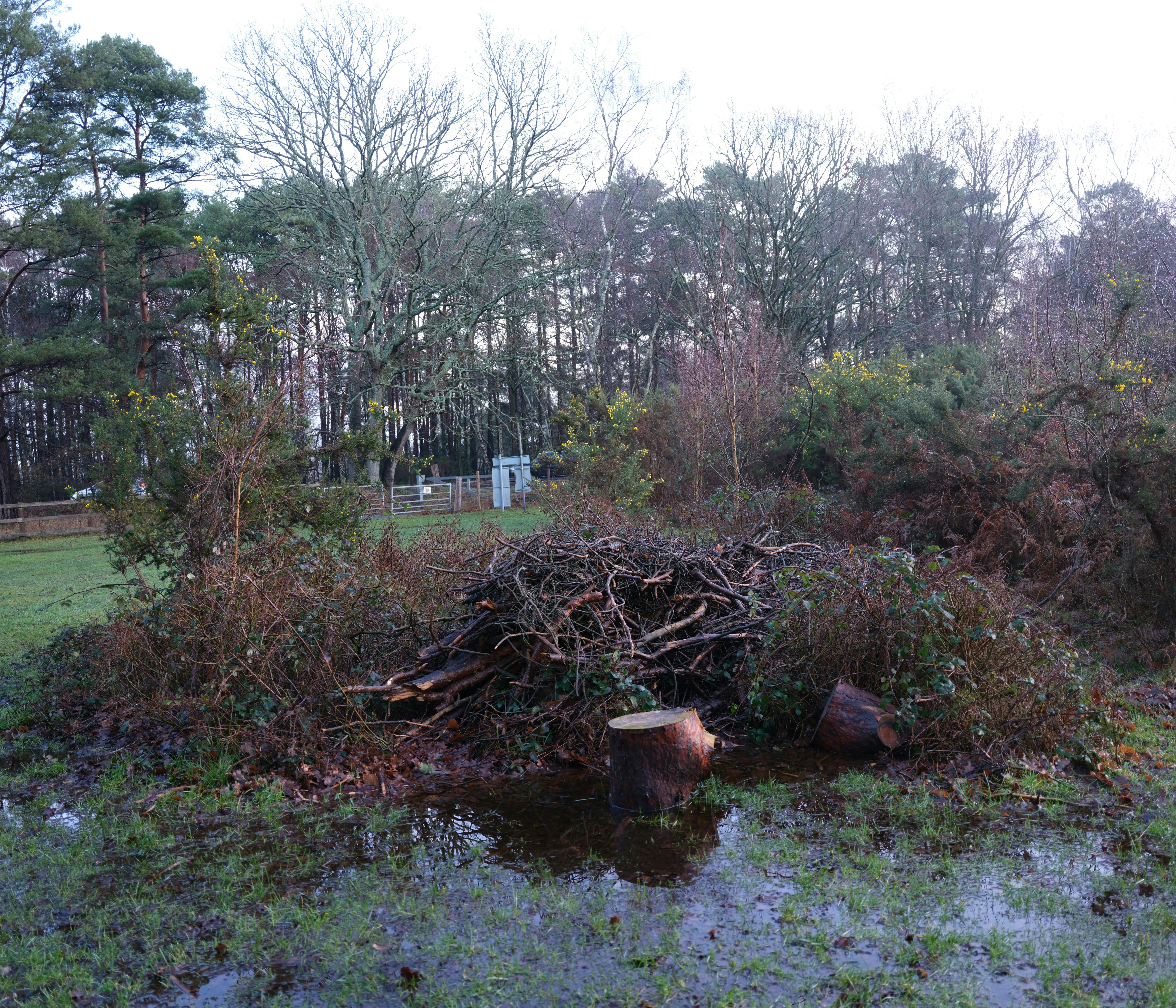 Photo by tanyabarrow