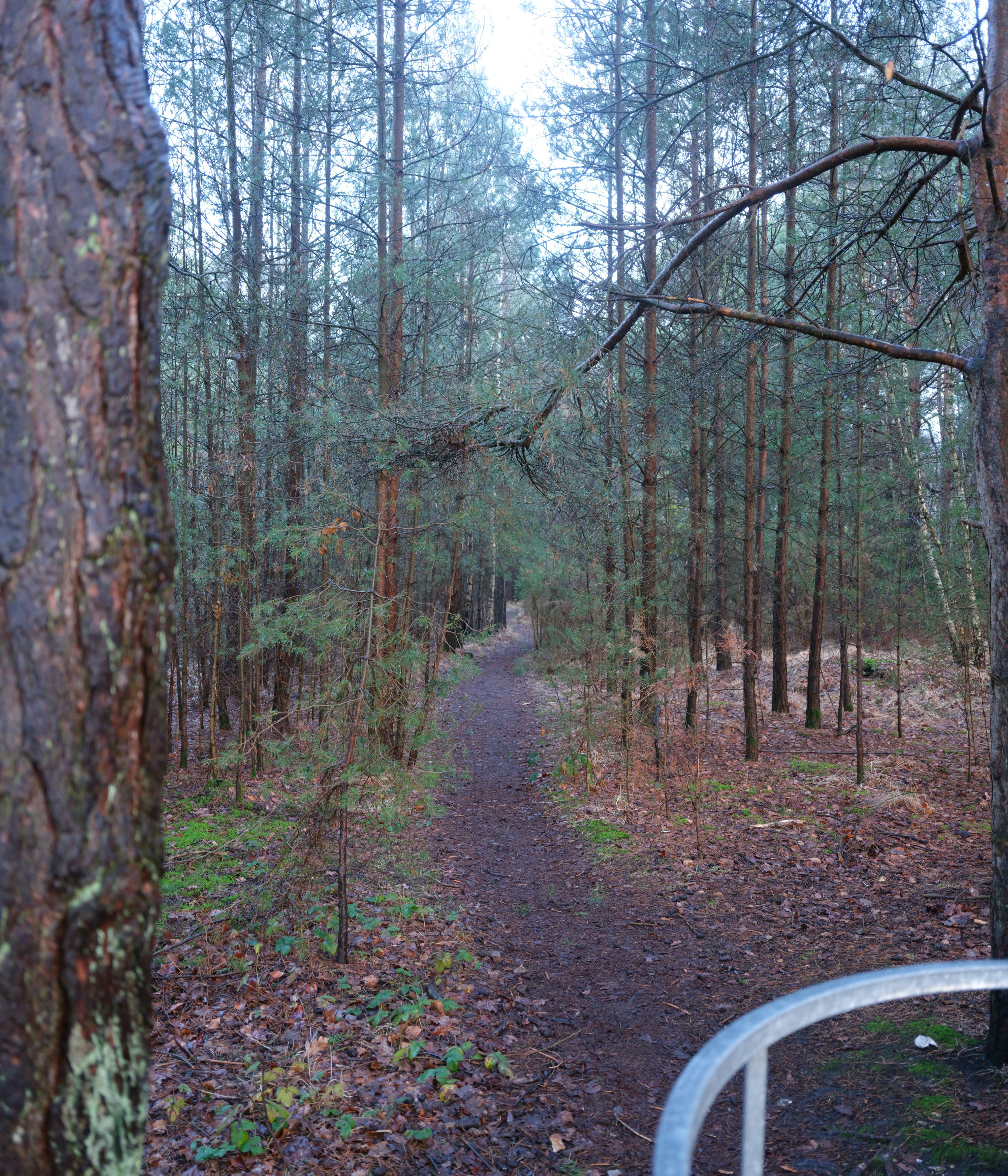 Photo by tanyabarrow