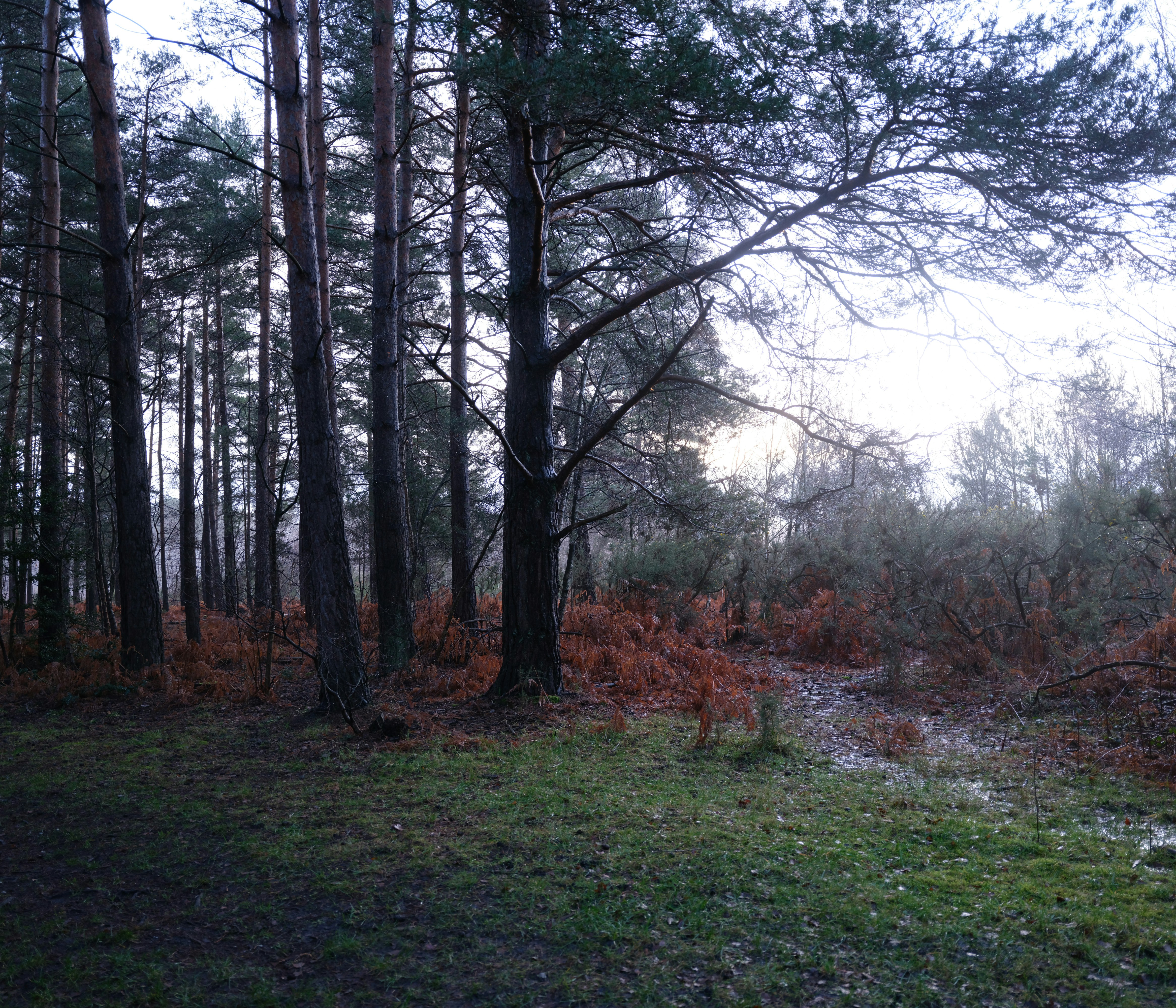 Photo by tanyabarrow