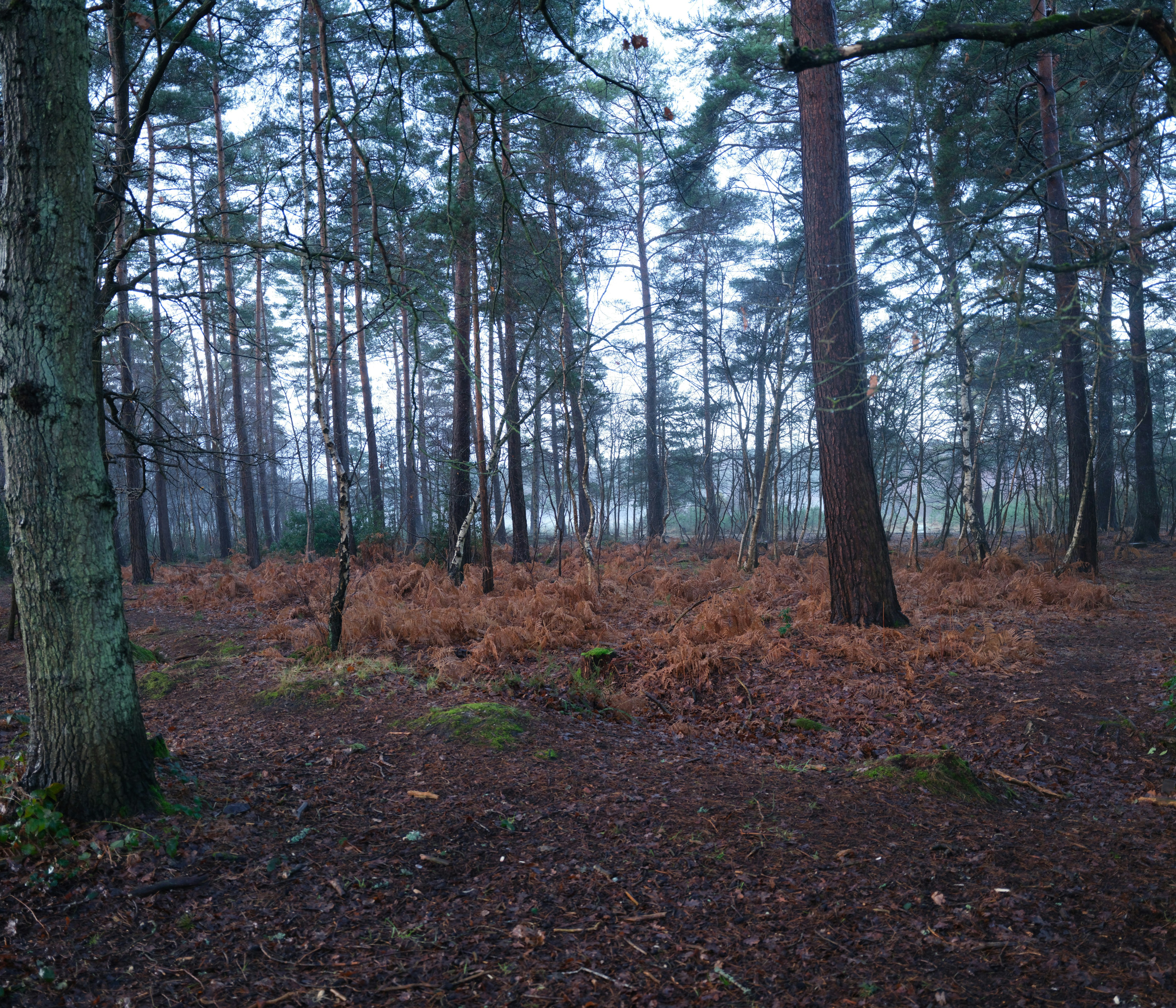 Photo by tanyabarrow