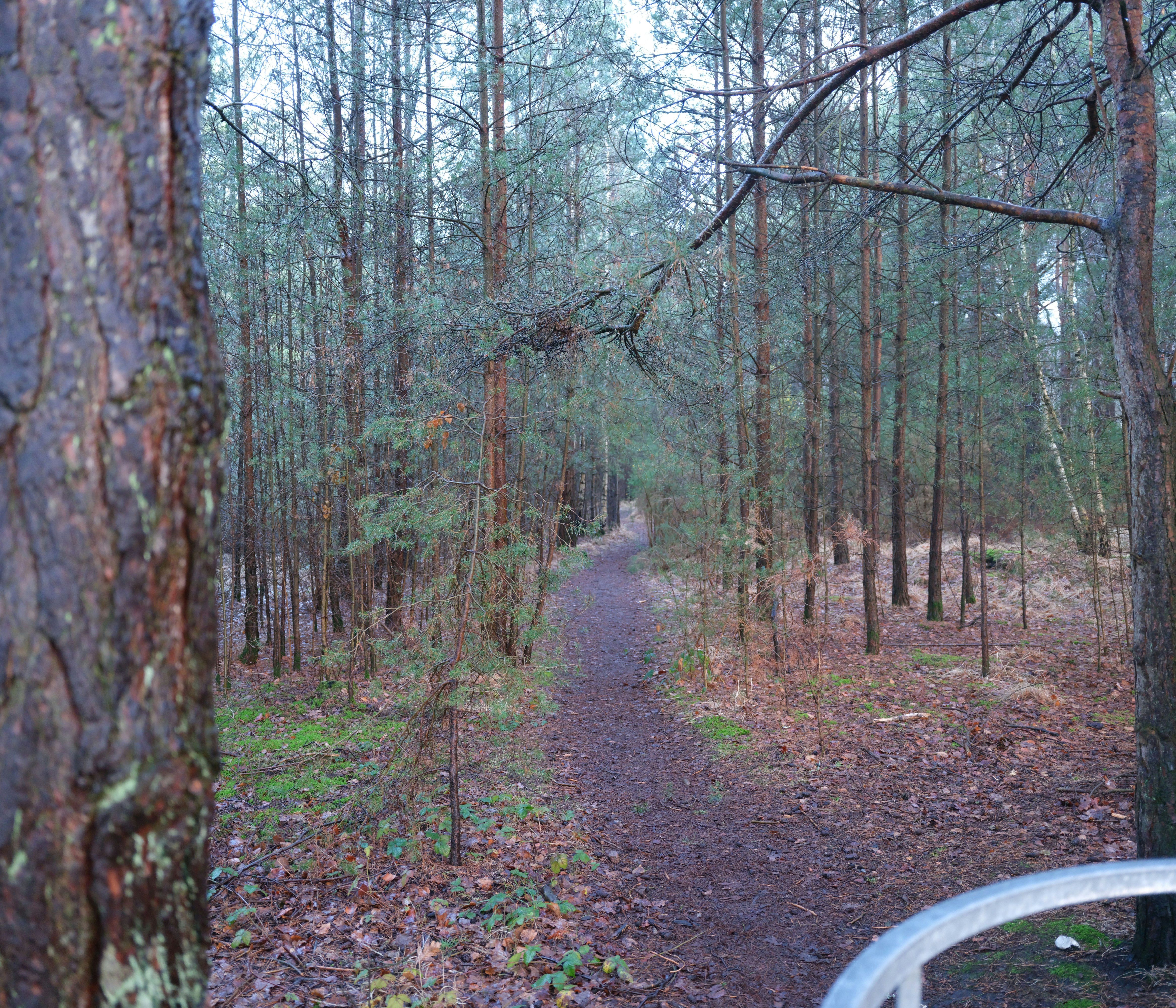 Photo by tanyabarrow