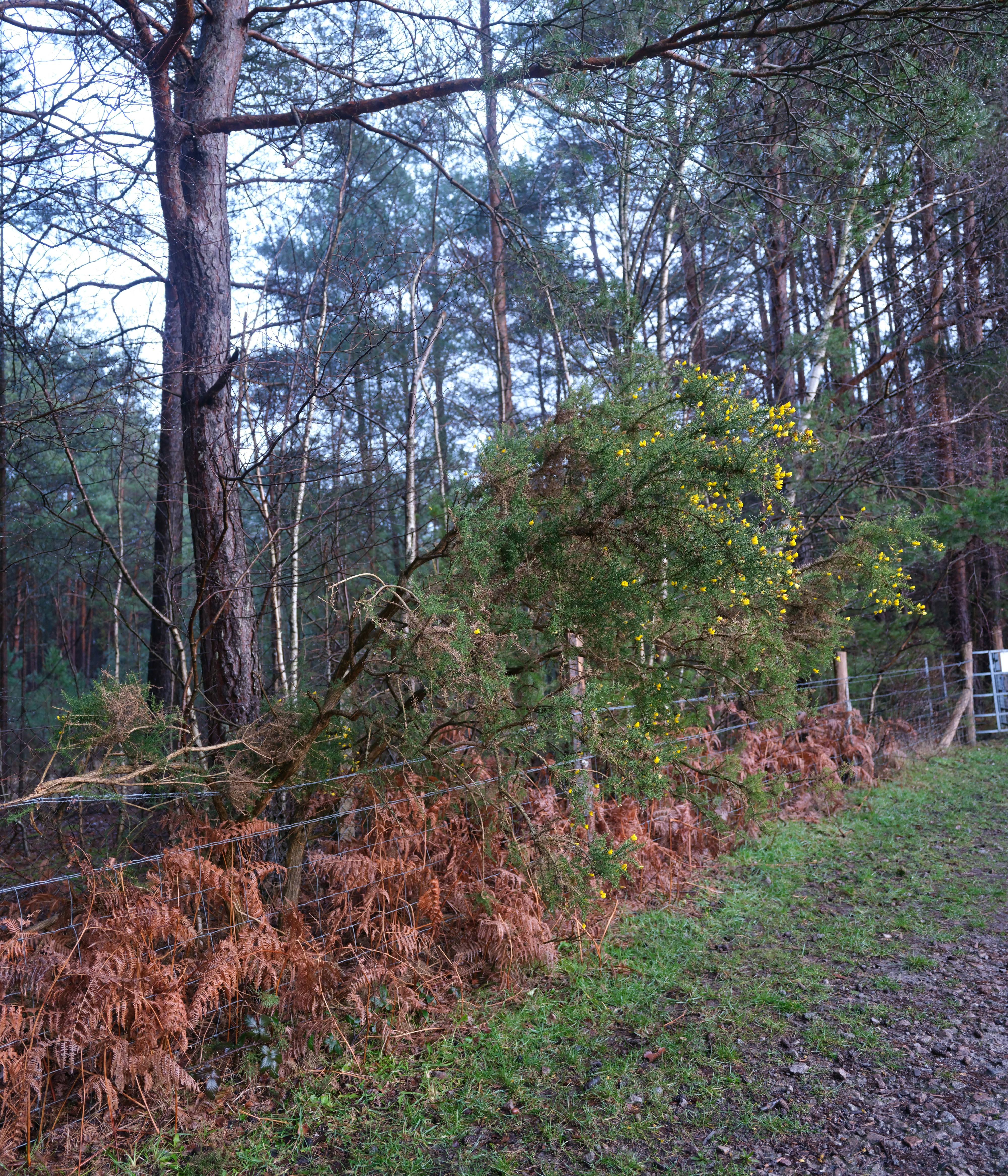 Photo by tanyabarrow